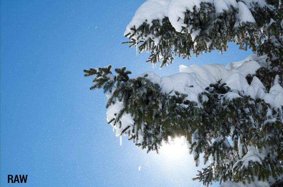 Bild ohne Beschreibung Bild ohne Beschreibung