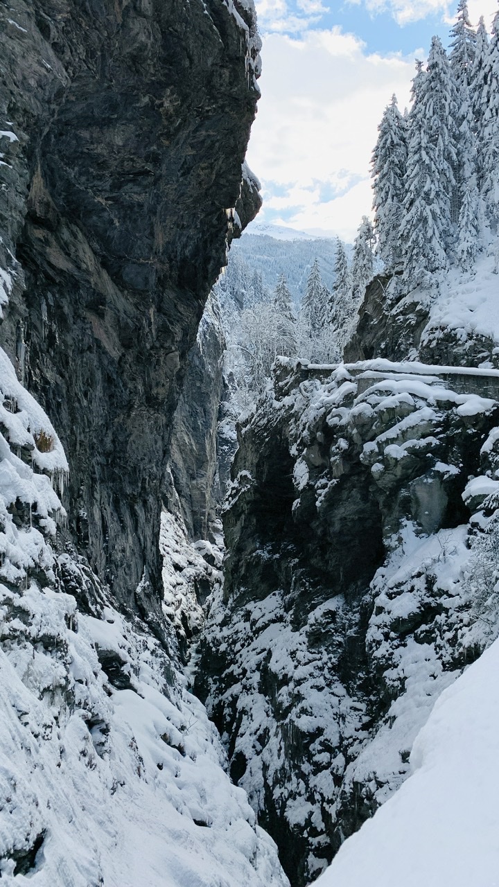 Bild ohne Beschreibung