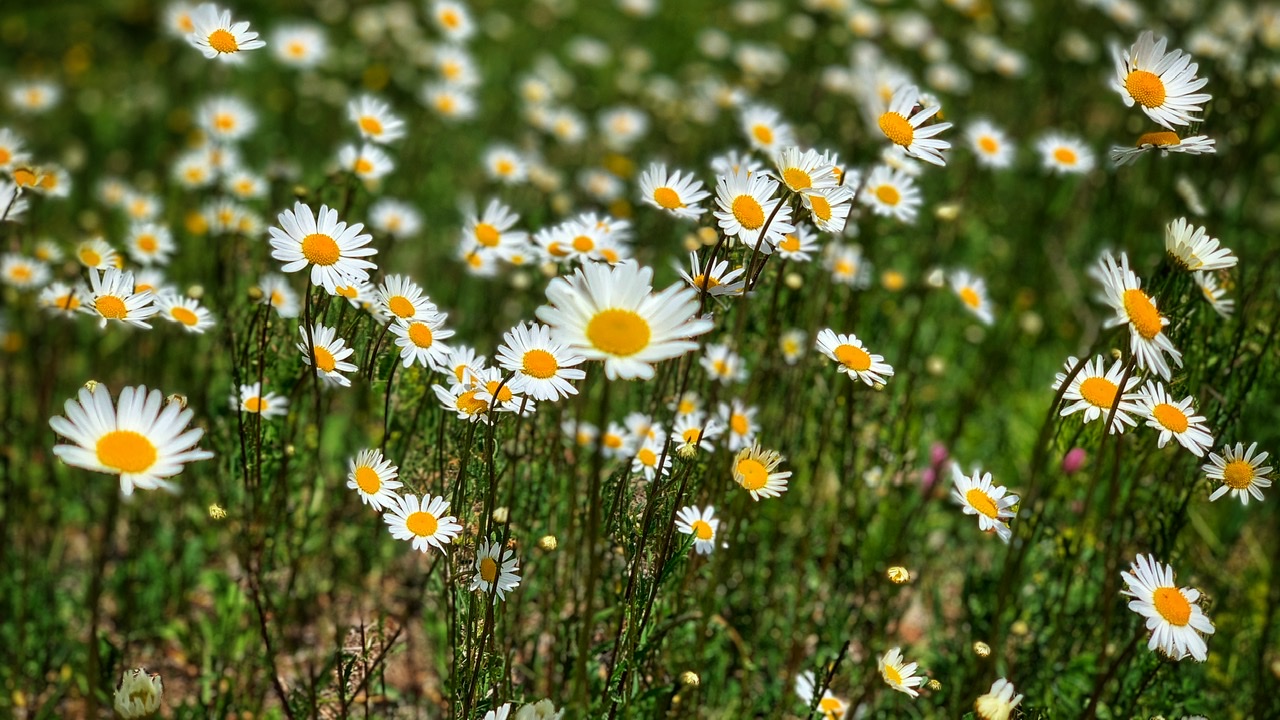 Bild ohne Beschreibung