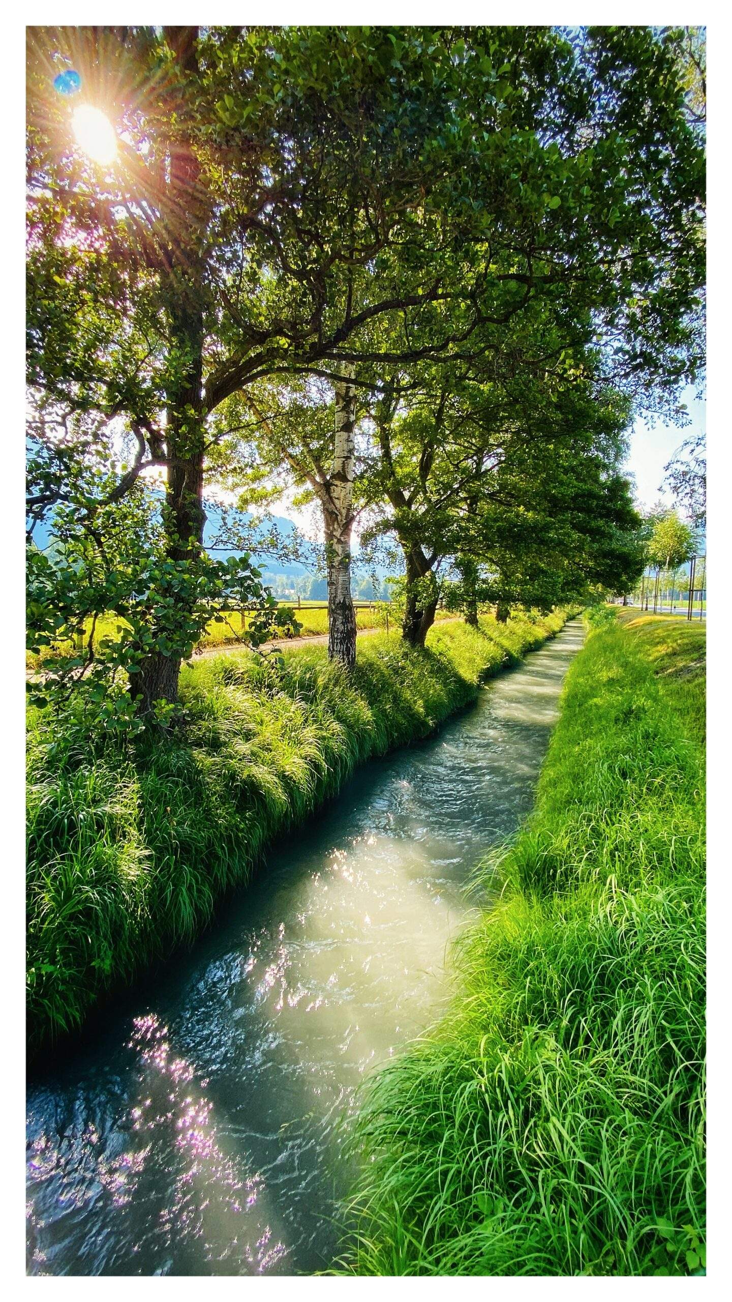 Bild ohne Beschreibung