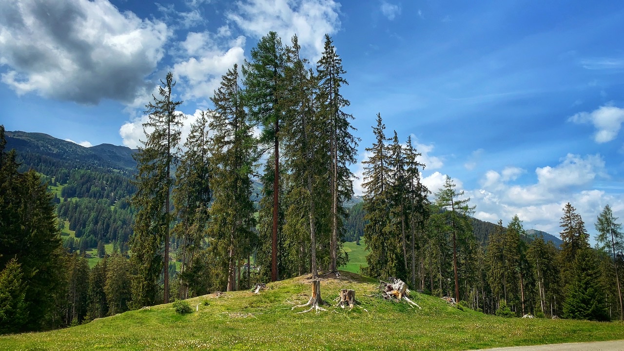 Bild ohne Beschreibung