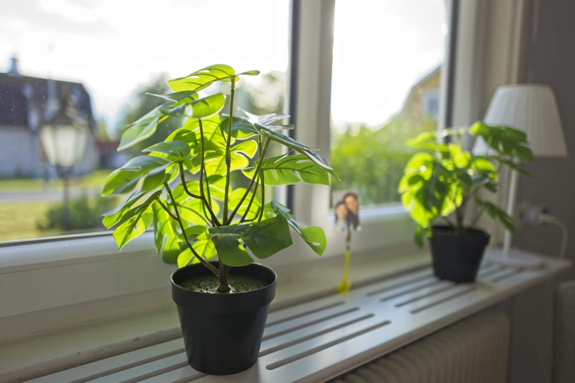 Bild ohne Beschreibung