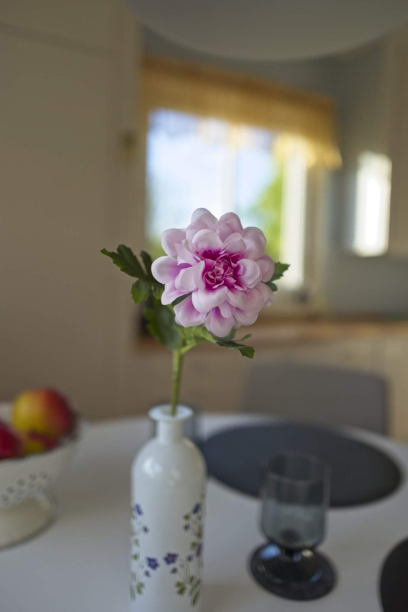 Bild ohne Beschreibung