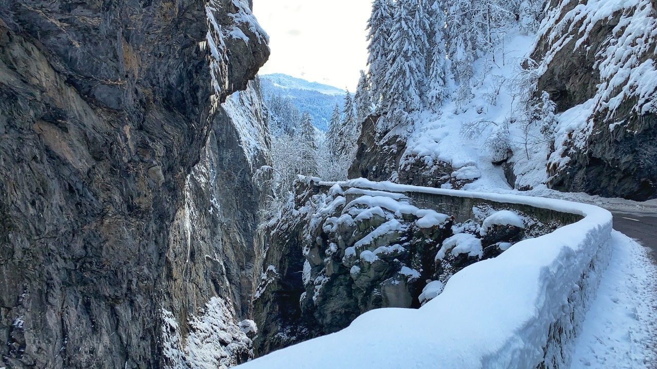 Bild ohne Beschreibung