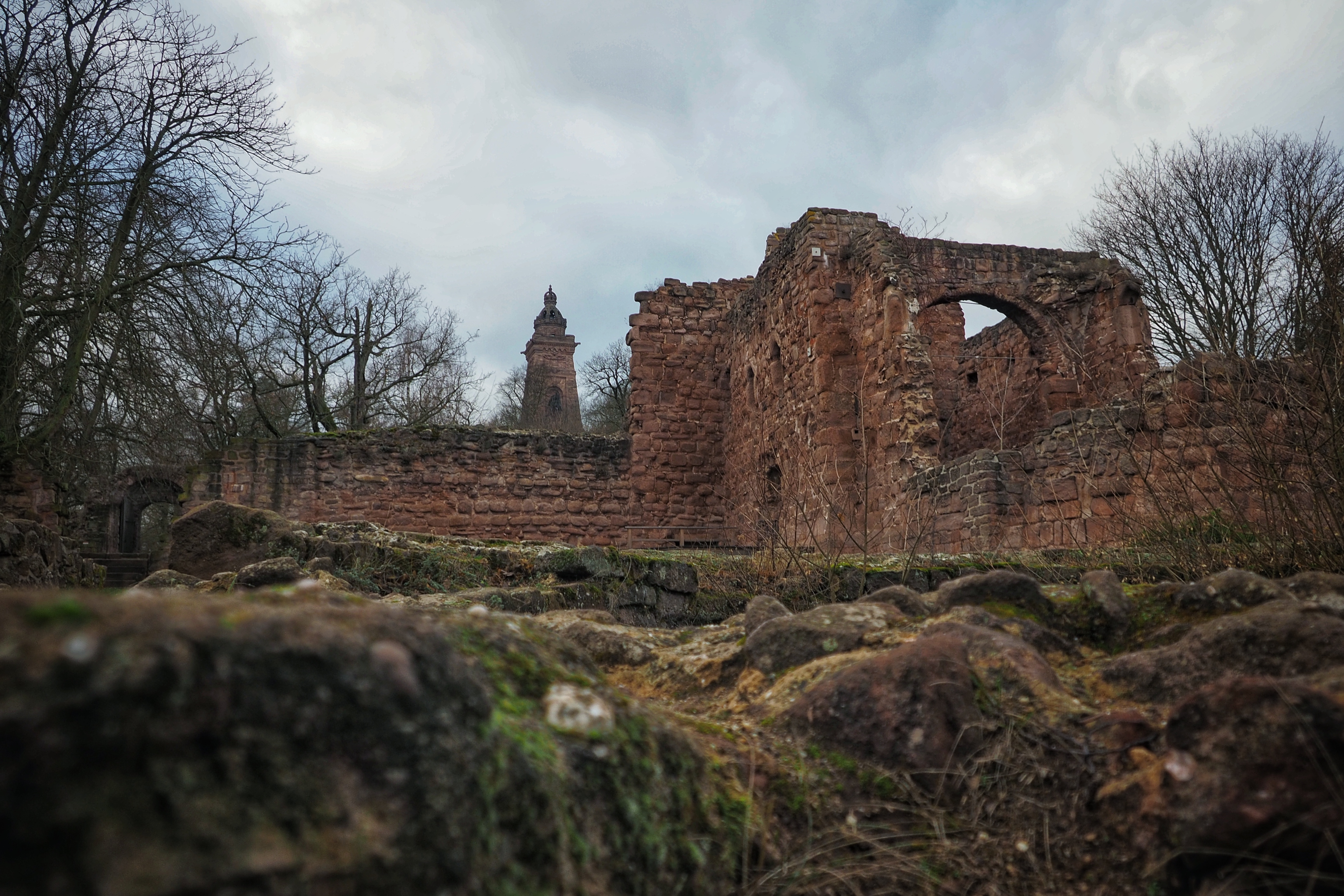 Bild ohne Beschreibung