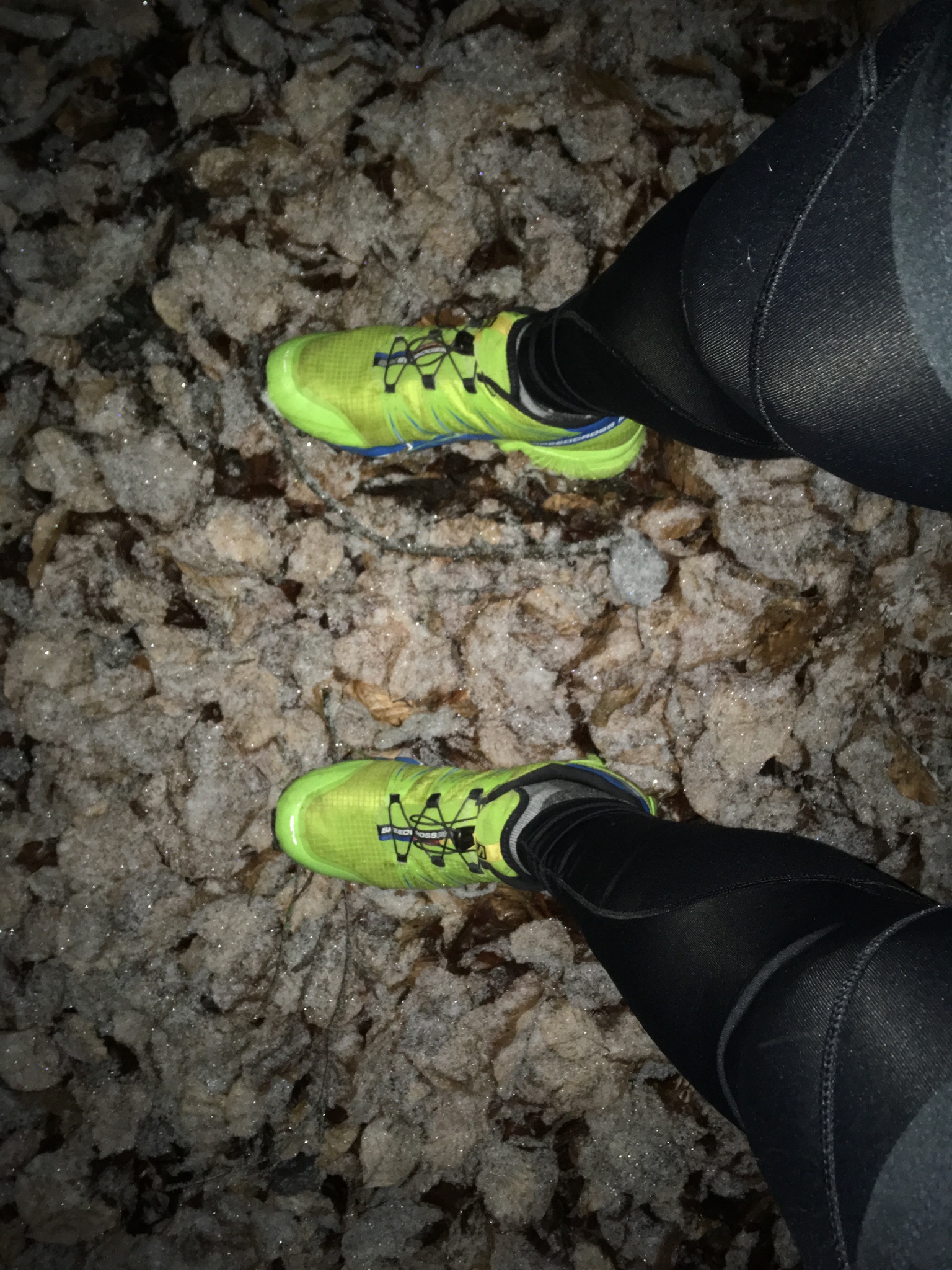 Bild ohne Beschreibung