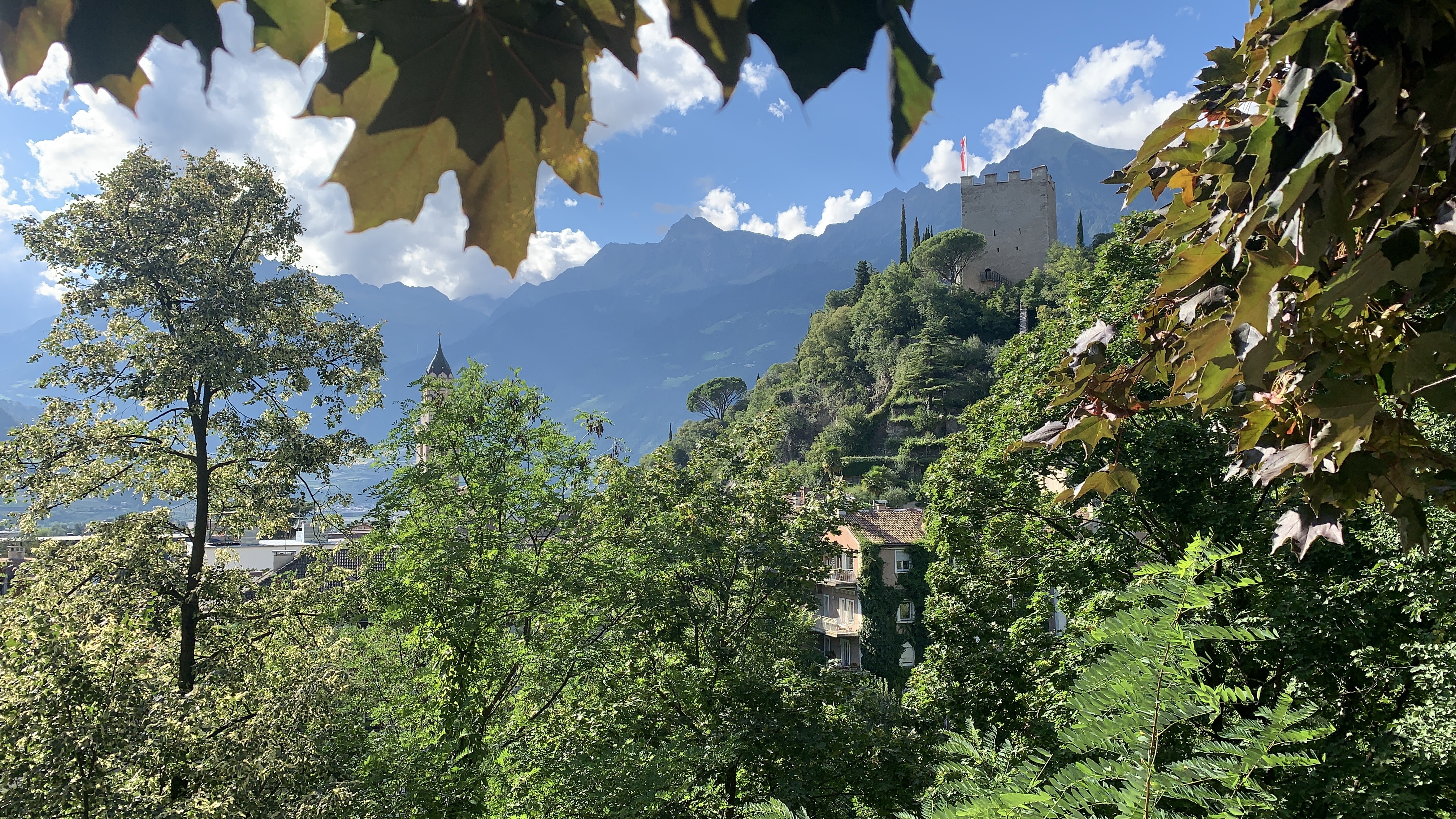 Bild ohne Beschreibung