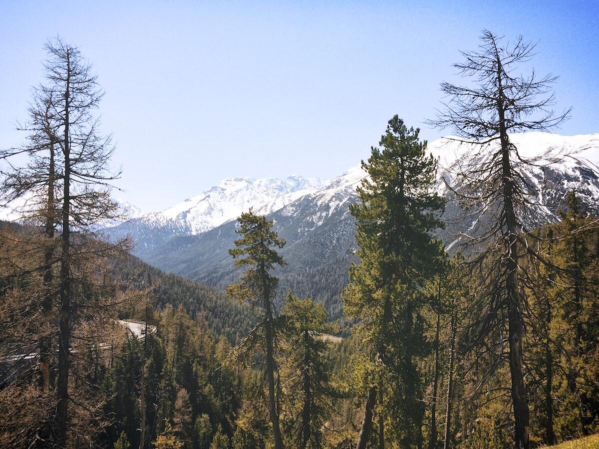 1200px_Pioneer-Series3000 2