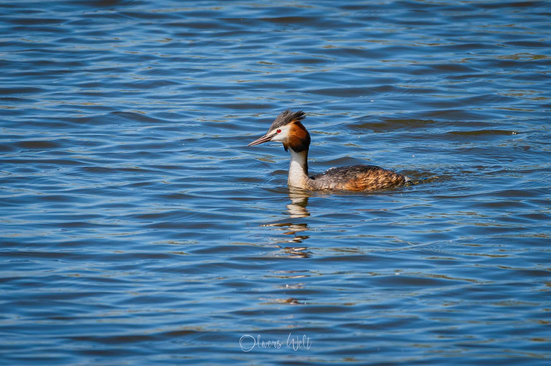 Bild ohne Beschreibung