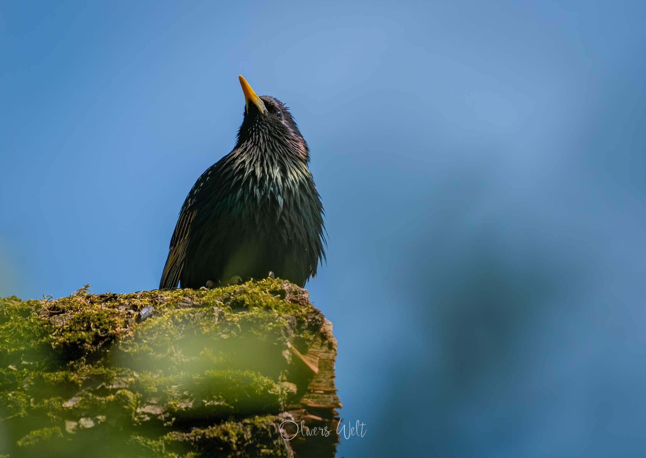 Bild ohne Beschreibung