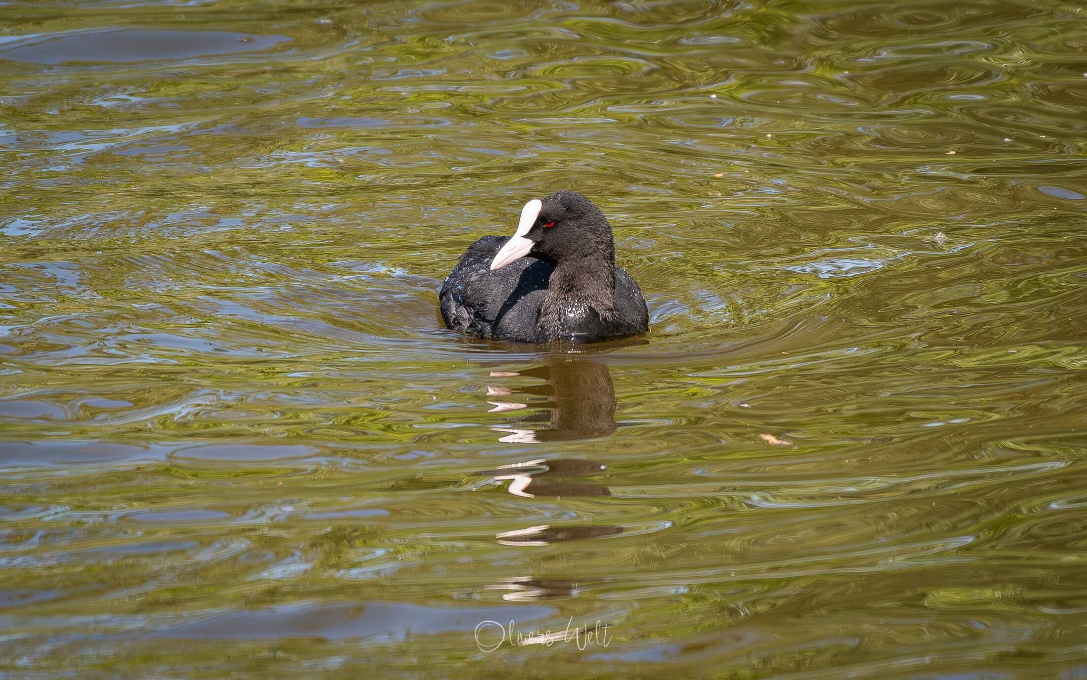Bild ohne Beschreibung