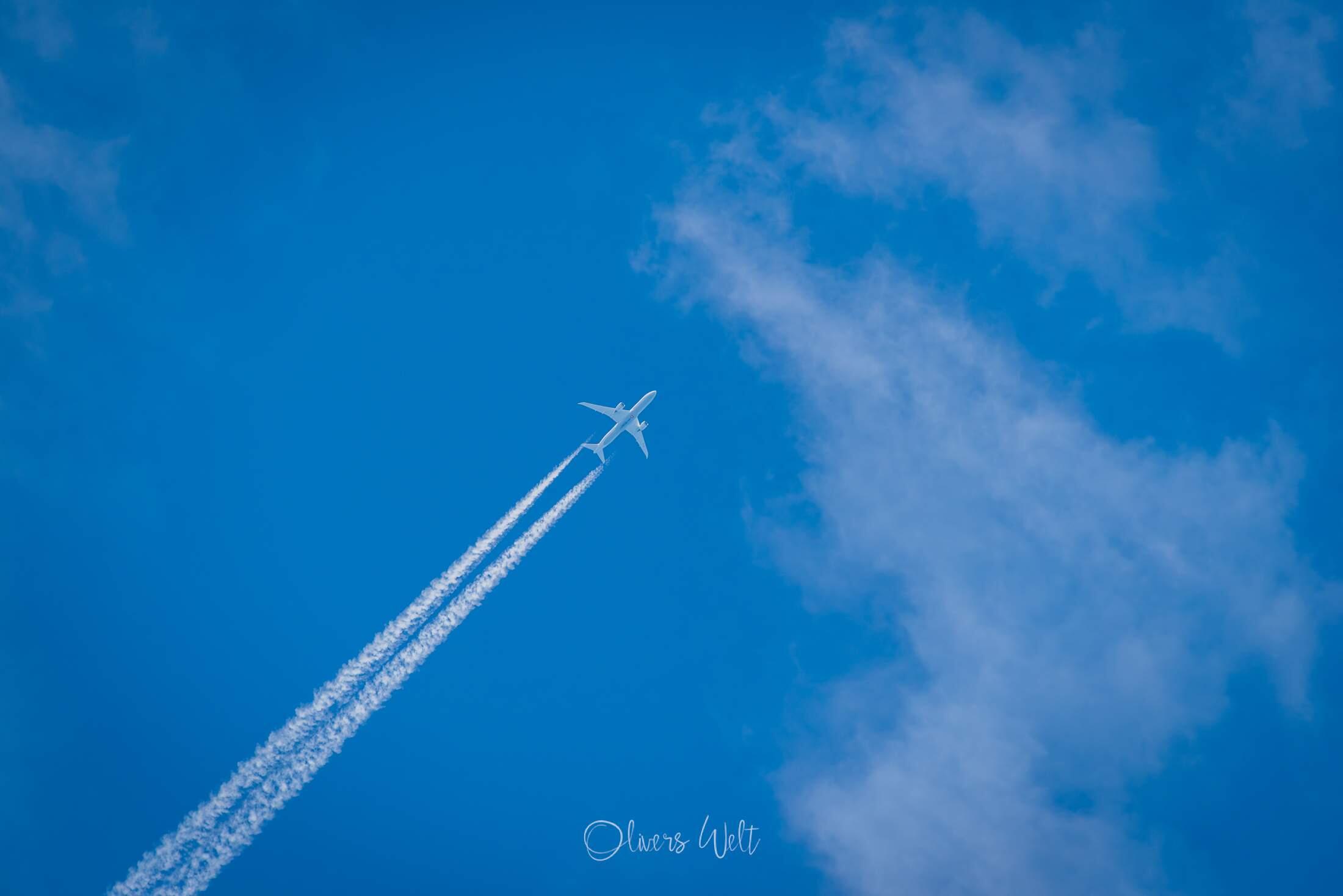 Bild ohne Beschreibung