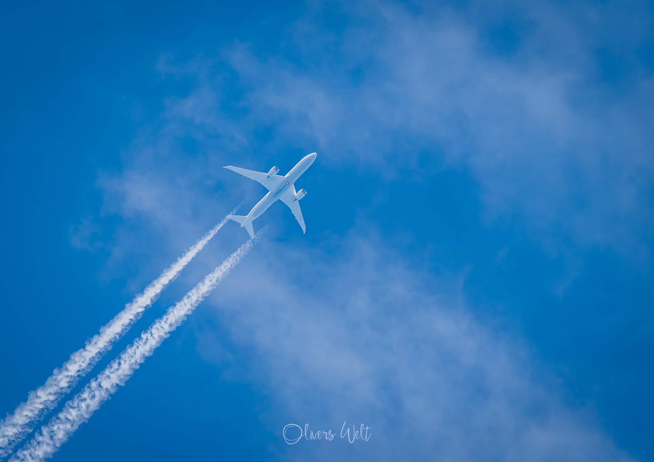 Bild ohne Beschreibung