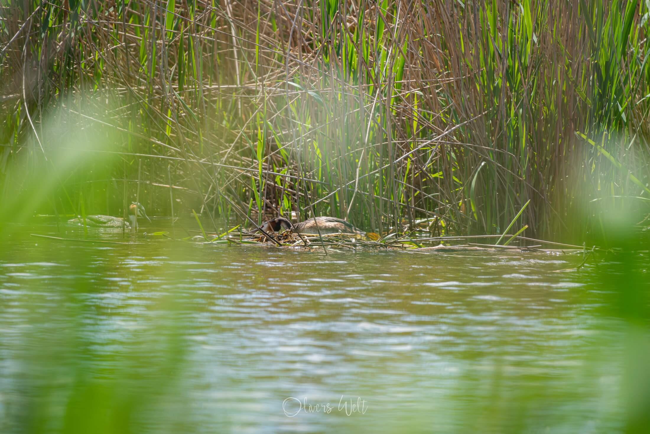 Bild ohne Beschreibung