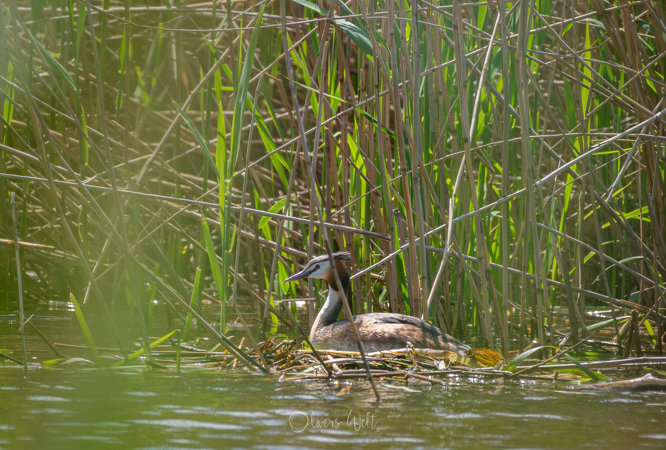 Bild ohne Beschreibung
