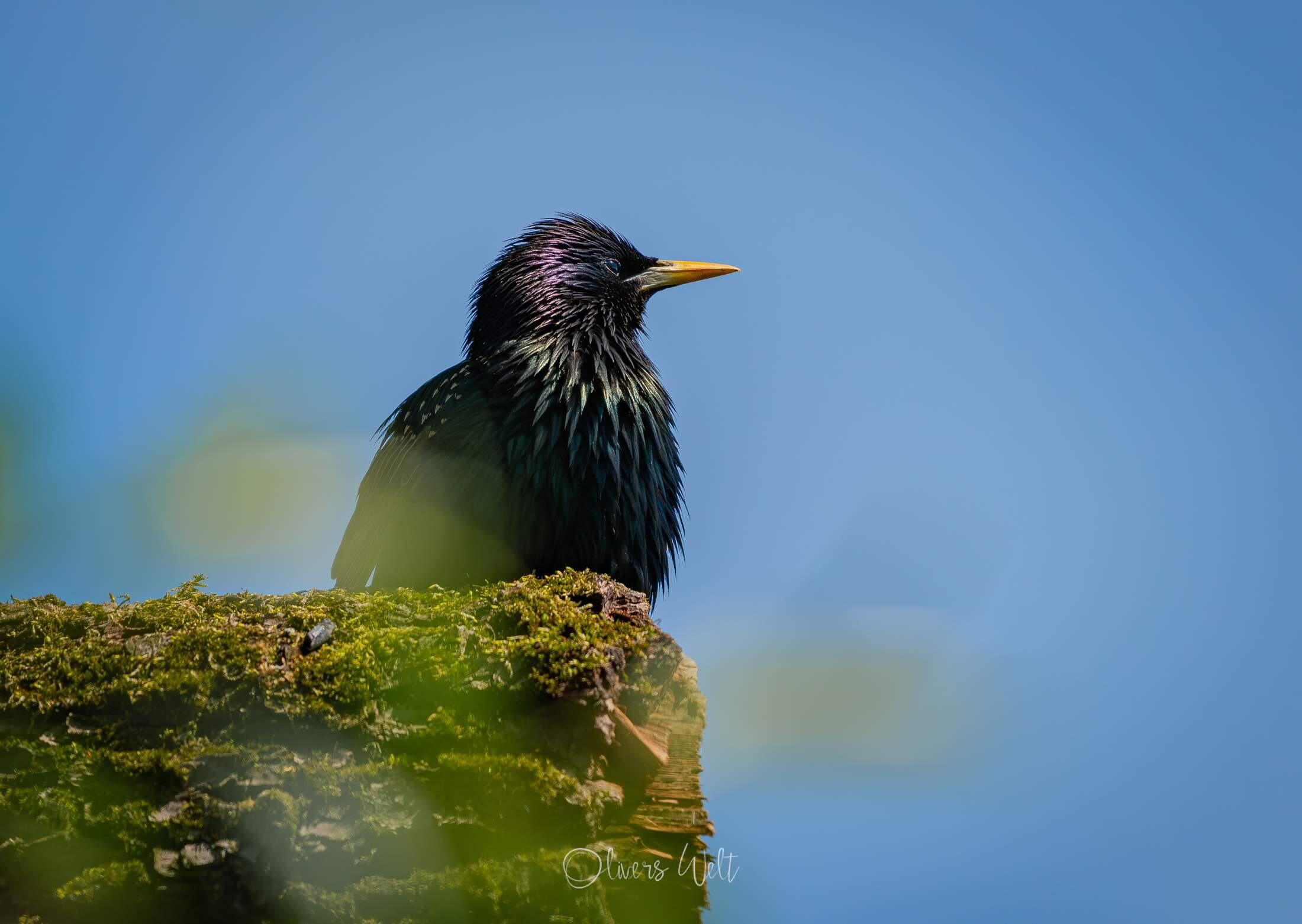 Bild ohne Beschreibung