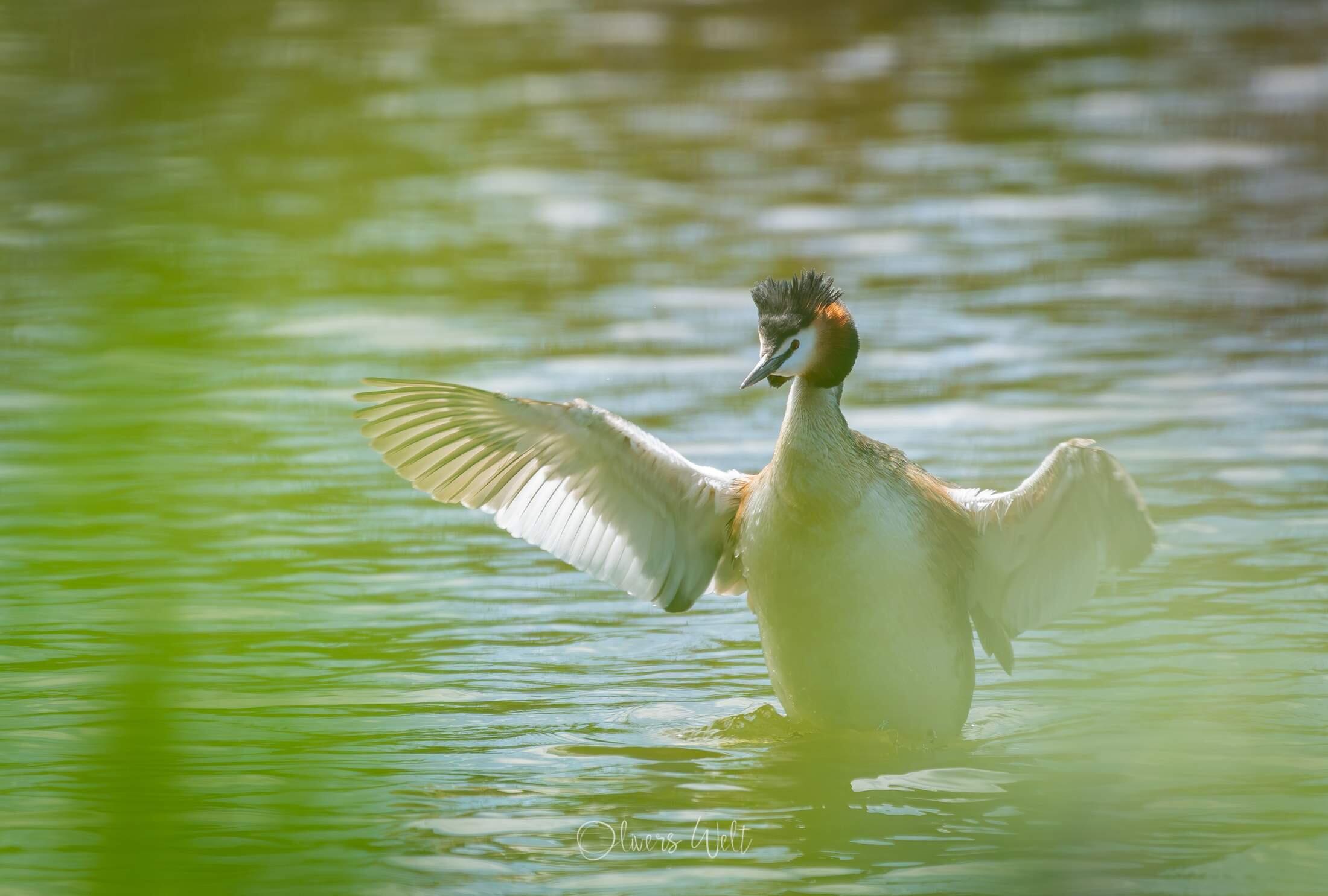 Bild ohne Beschreibung