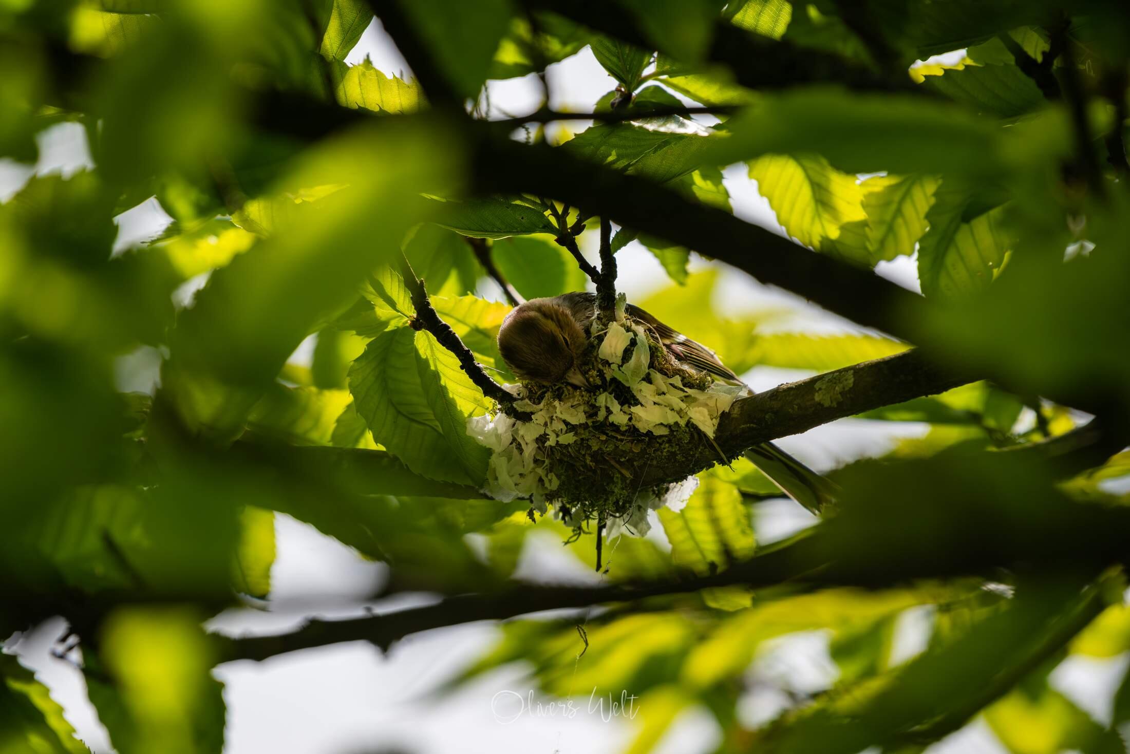 Bild ohne Beschreibung