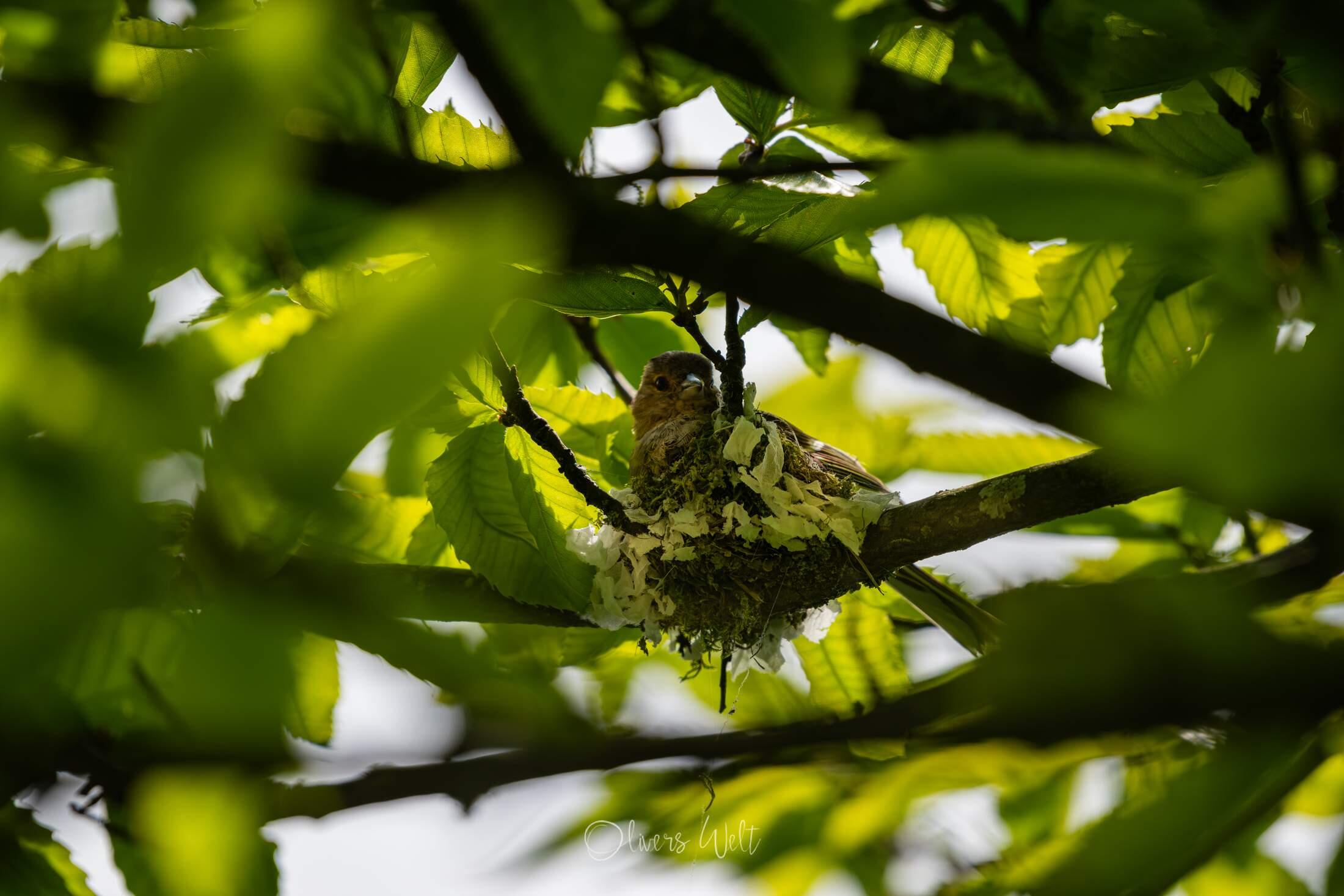 Bild ohne Beschreibung