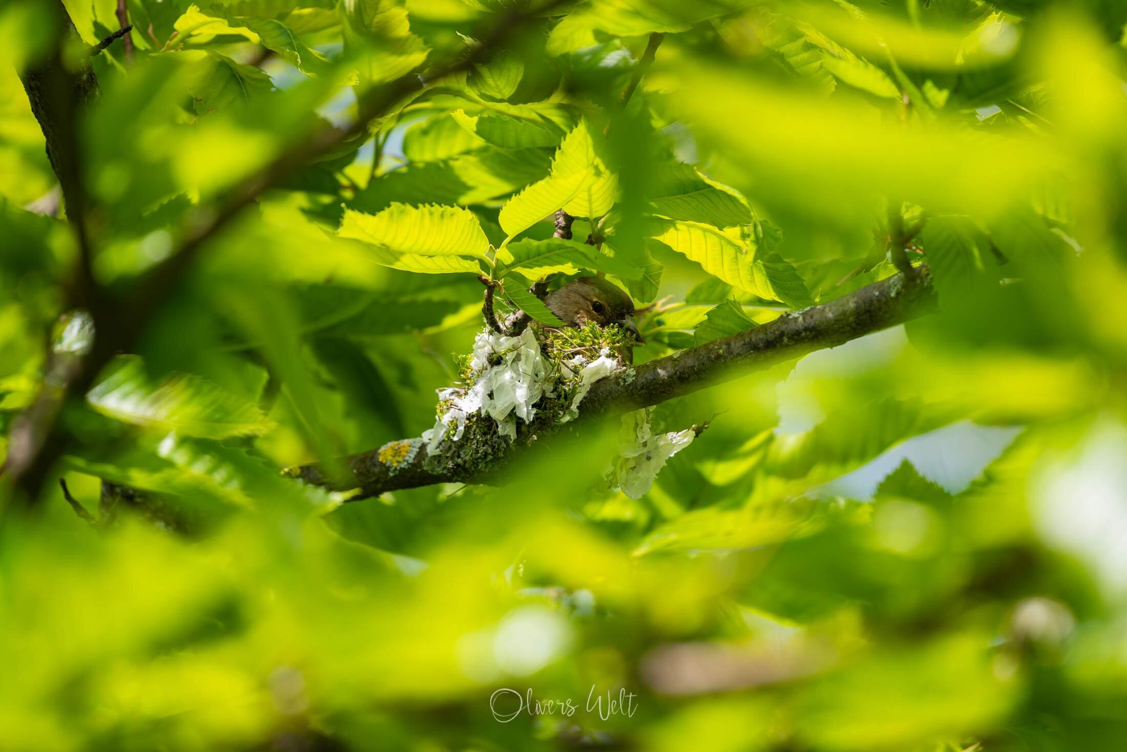 Bild ohne Beschreibung