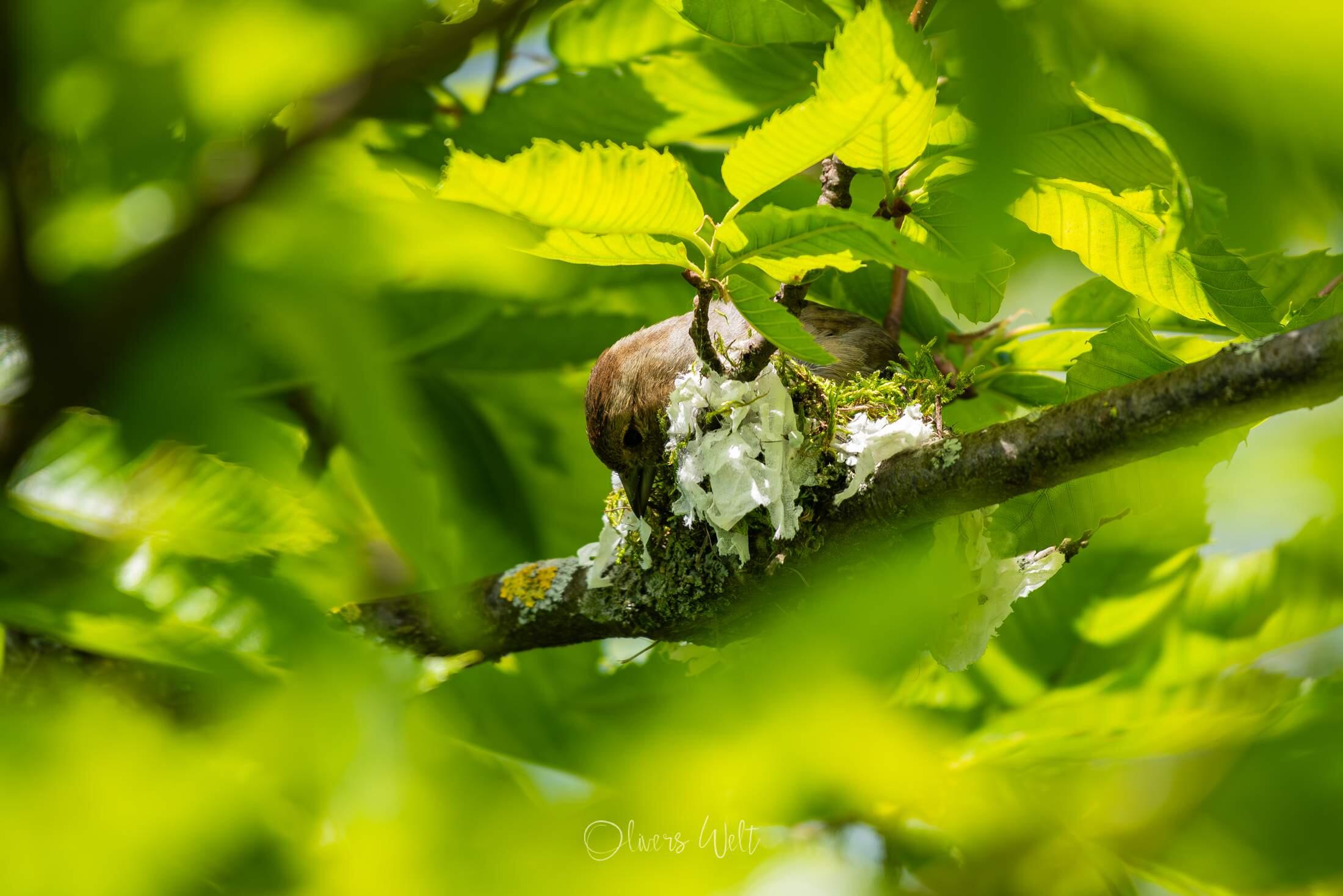 Bild ohne Beschreibung