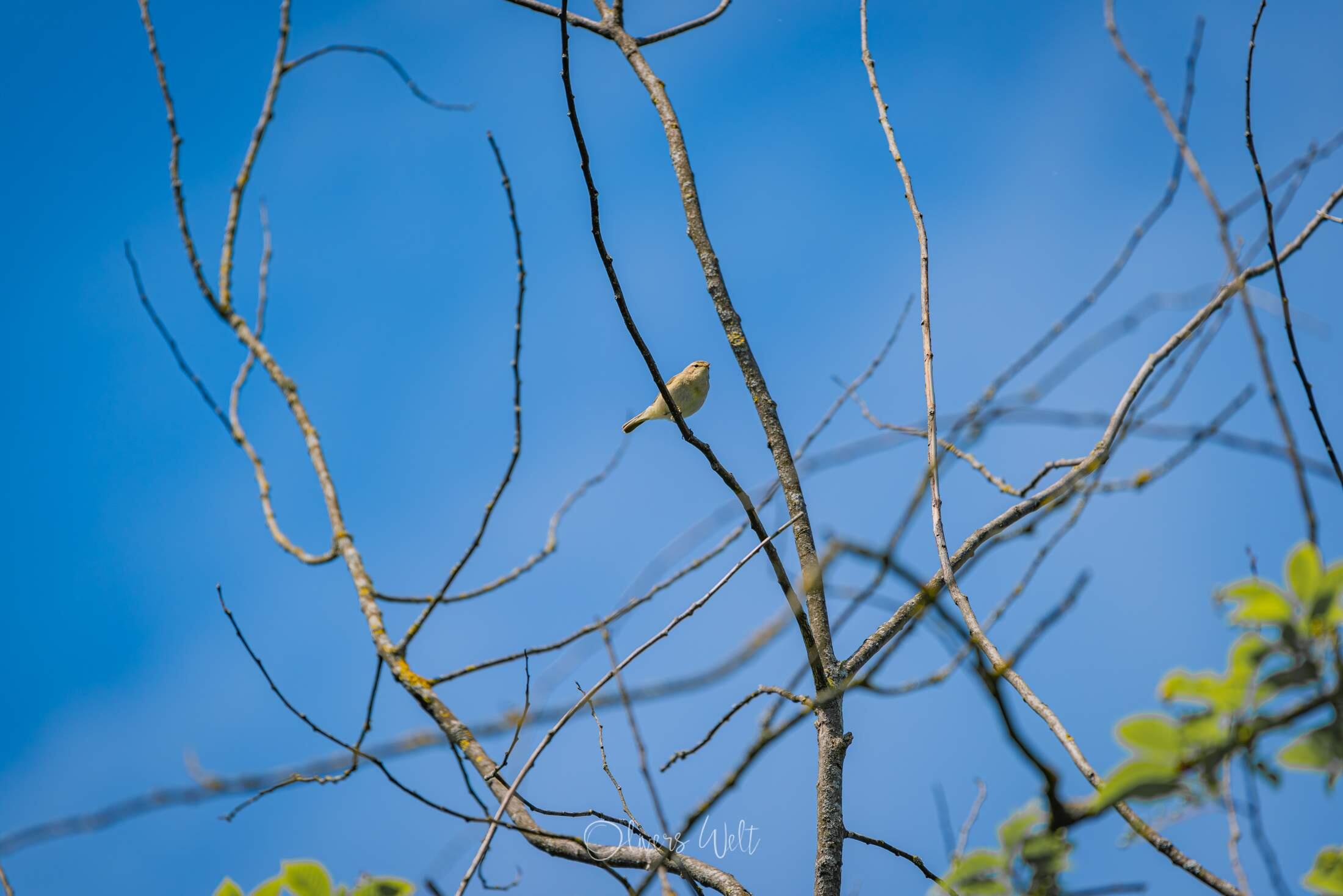 Bild ohne Beschreibung