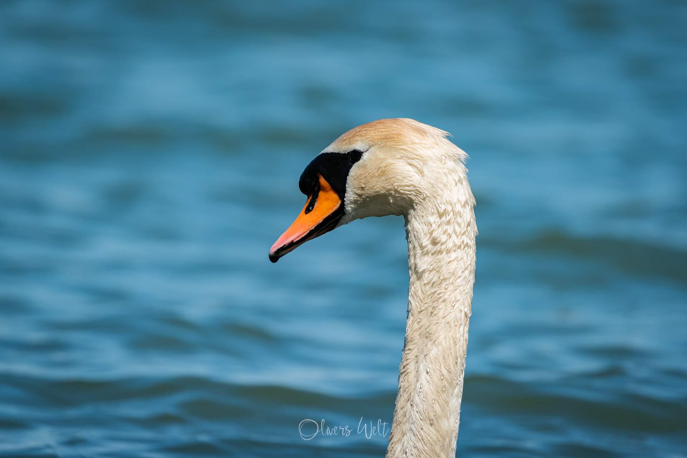 Bild ohne Beschreibung