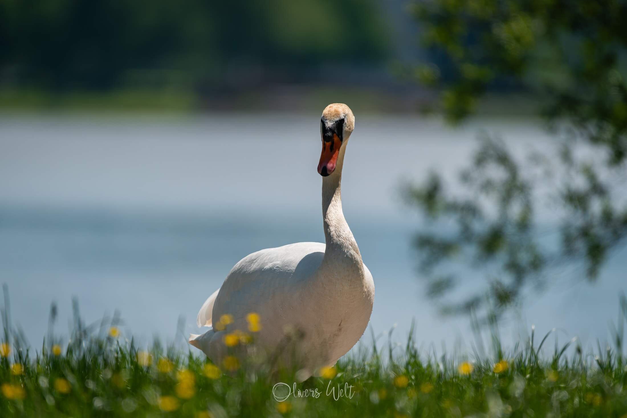Bild ohne Beschreibung