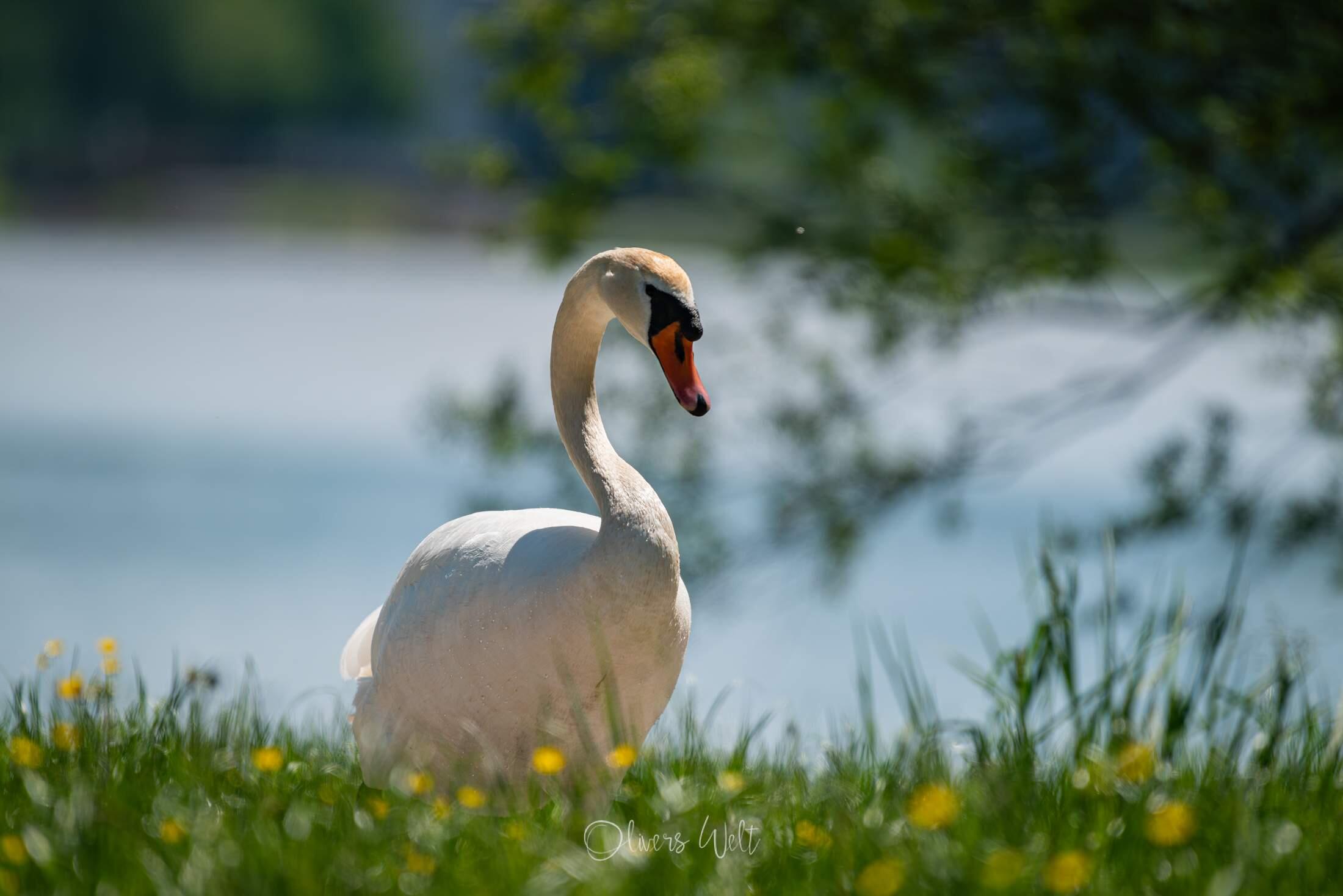 Bild ohne Beschreibung