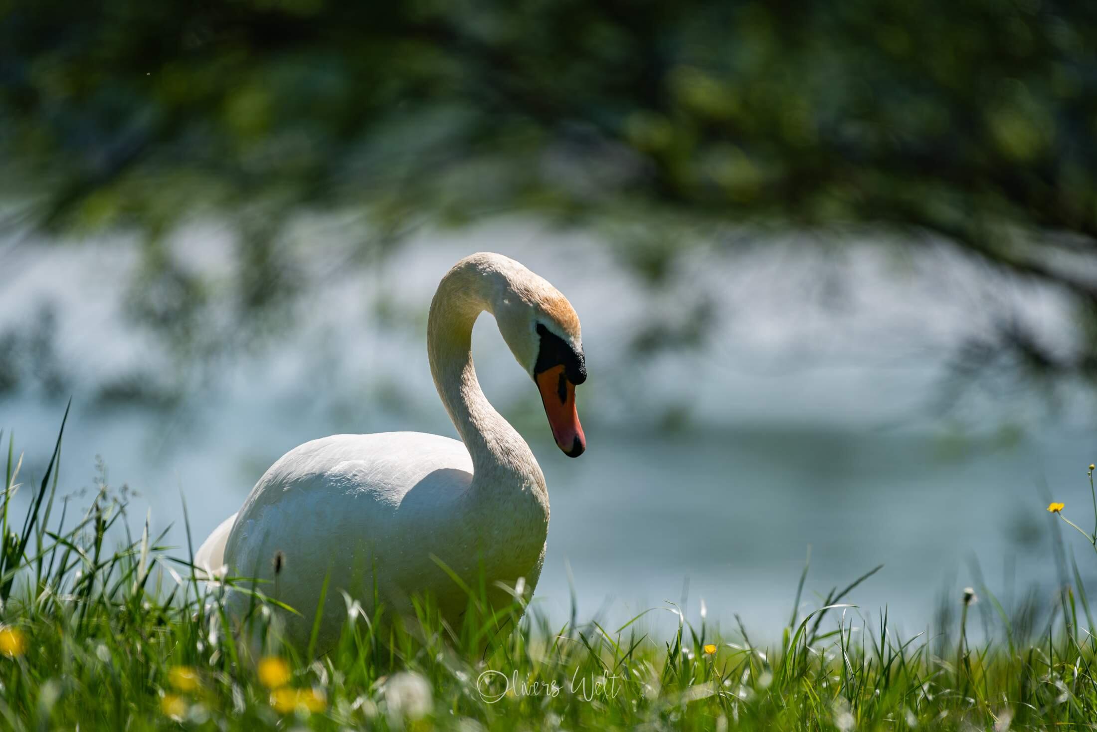 Bild ohne Beschreibung