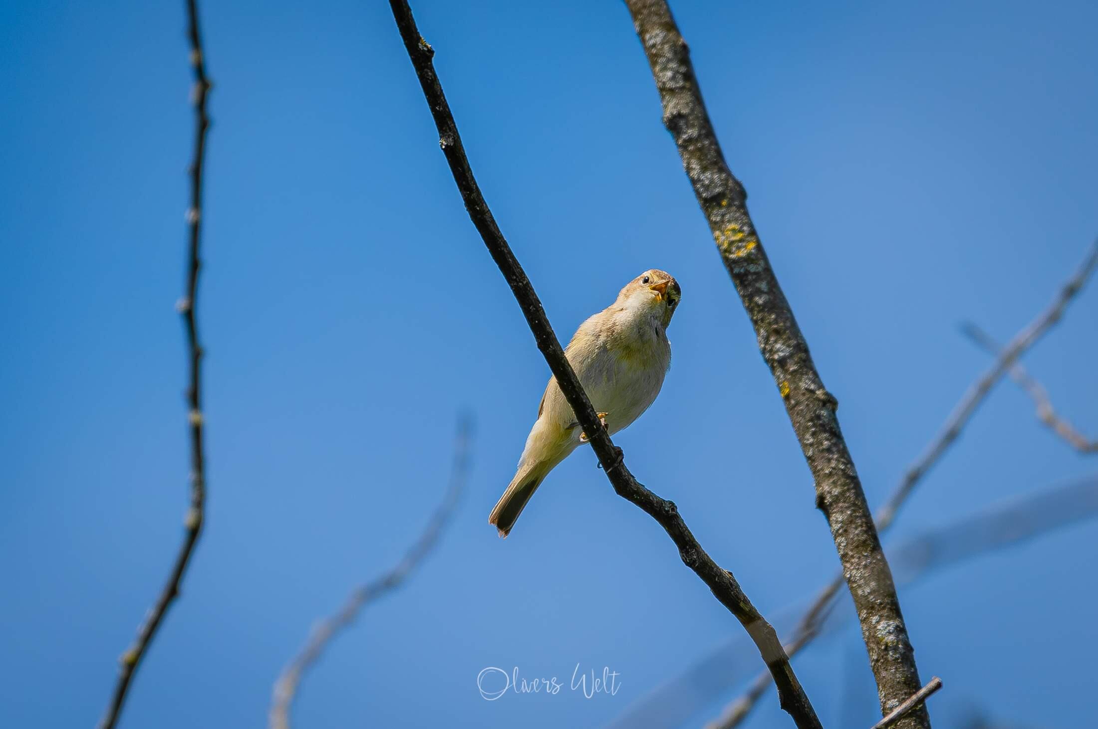 Bild ohne Beschreibung