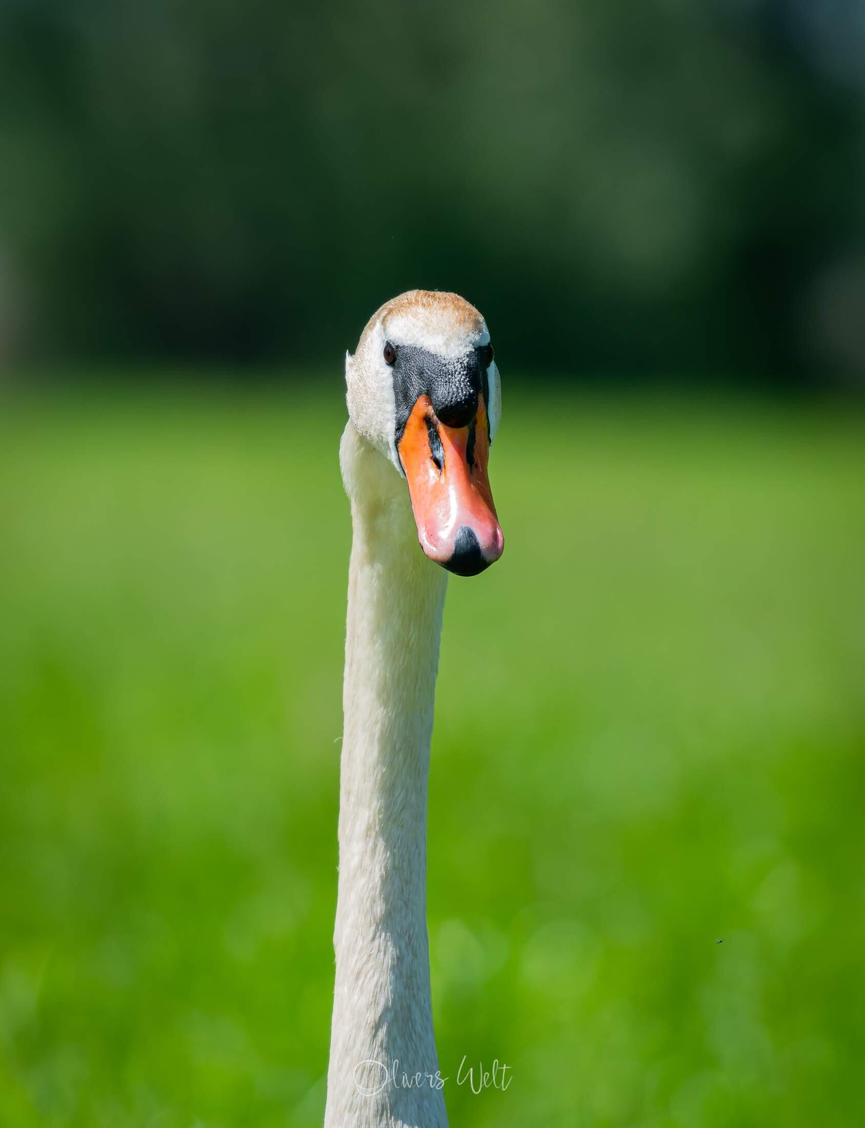 Bild ohne Beschreibung