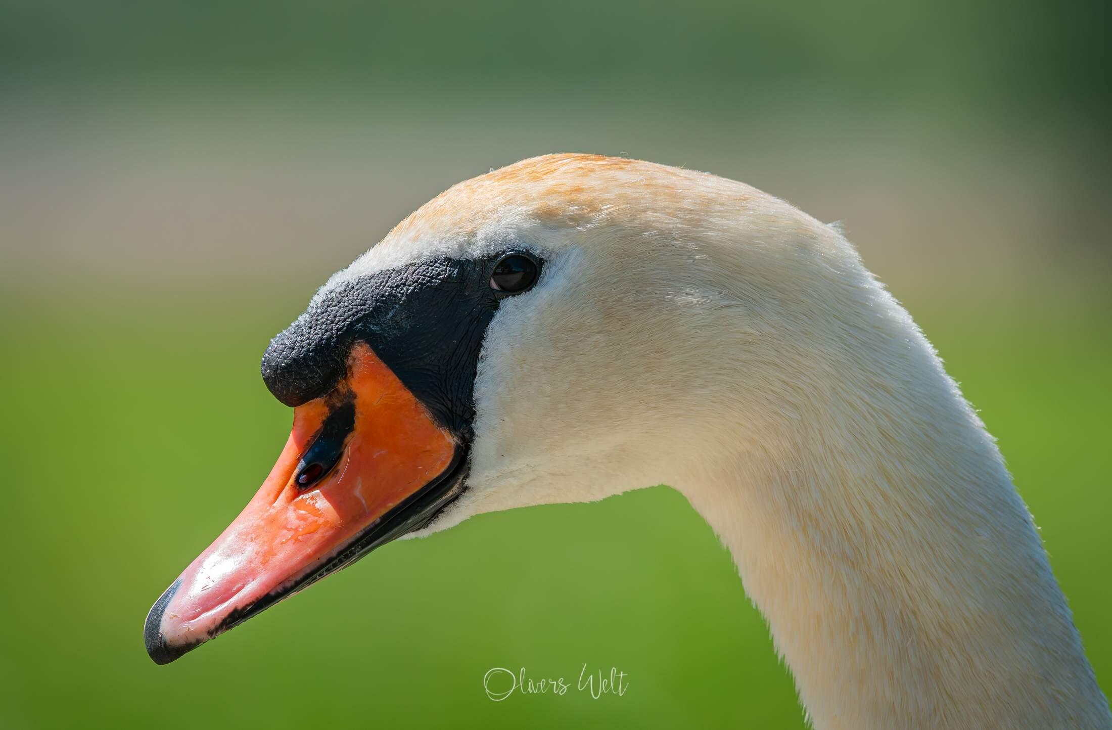 Bild ohne Beschreibung