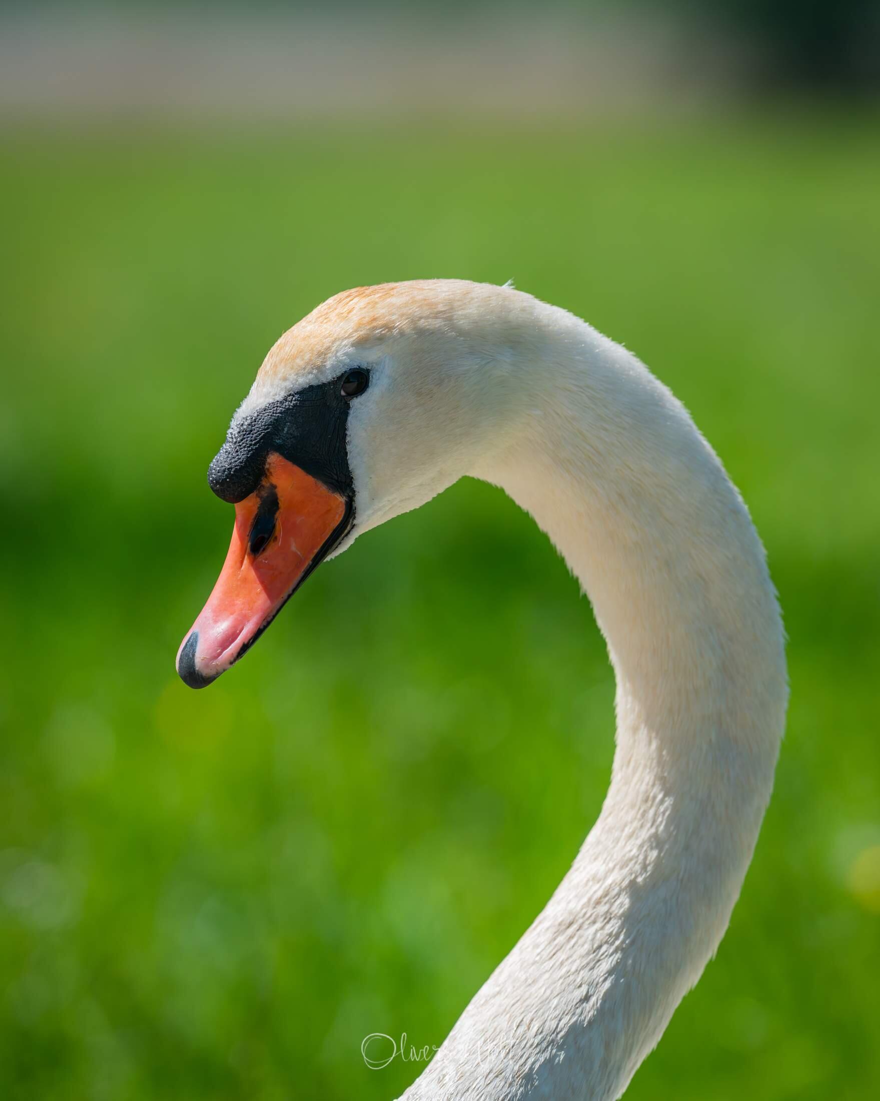 Bild ohne Beschreibung