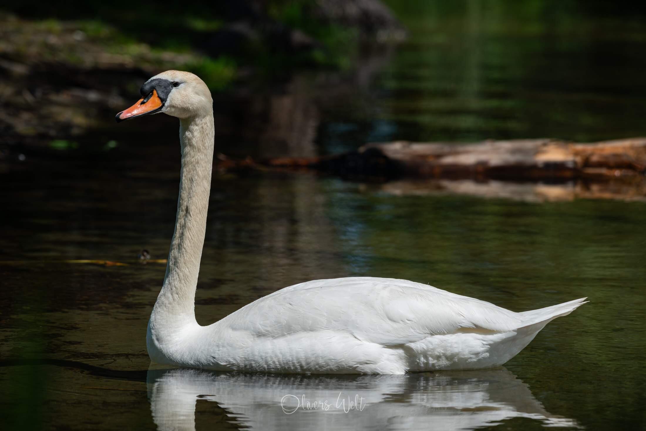 Bild ohne Beschreibung