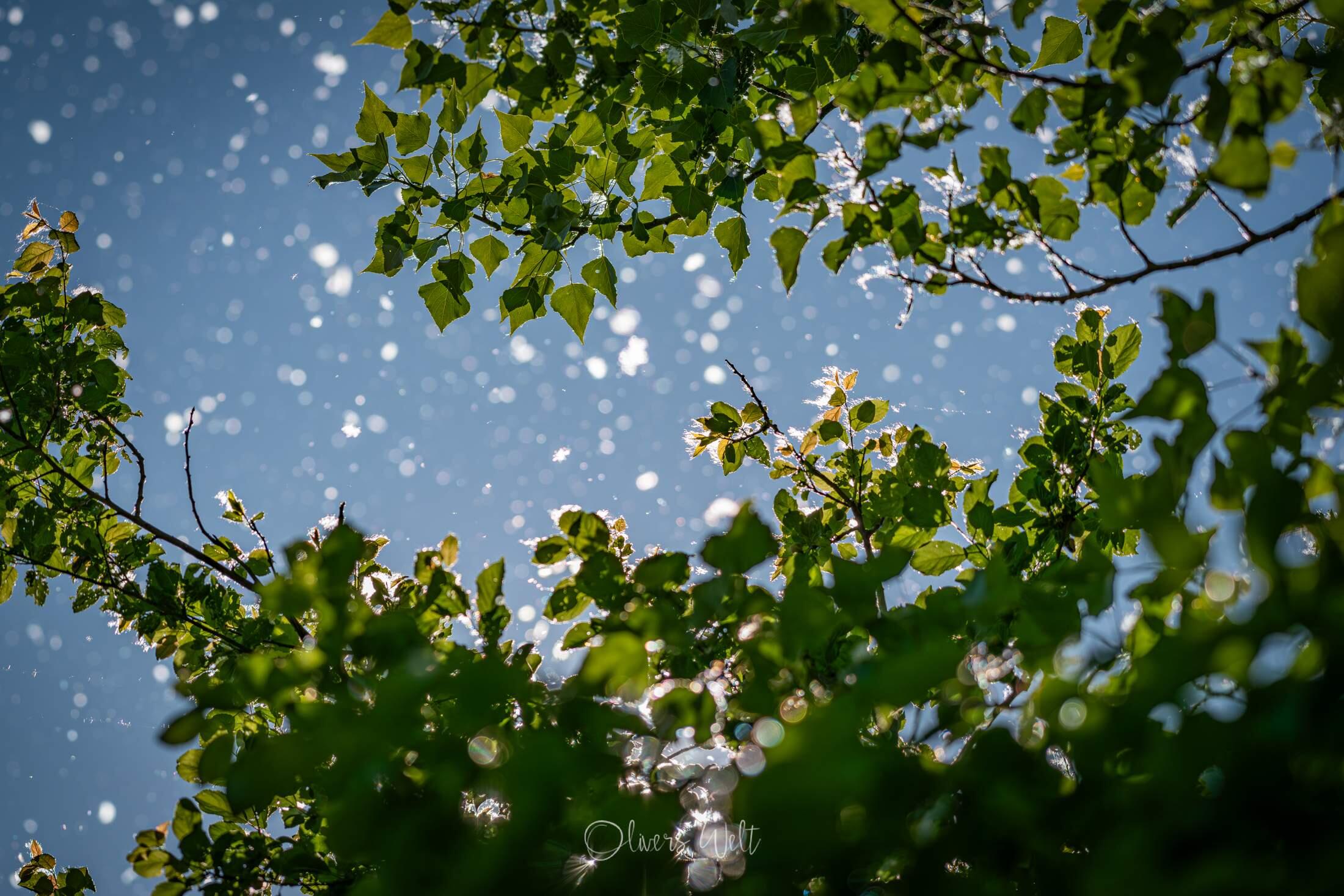 Bild ohne Beschreibung