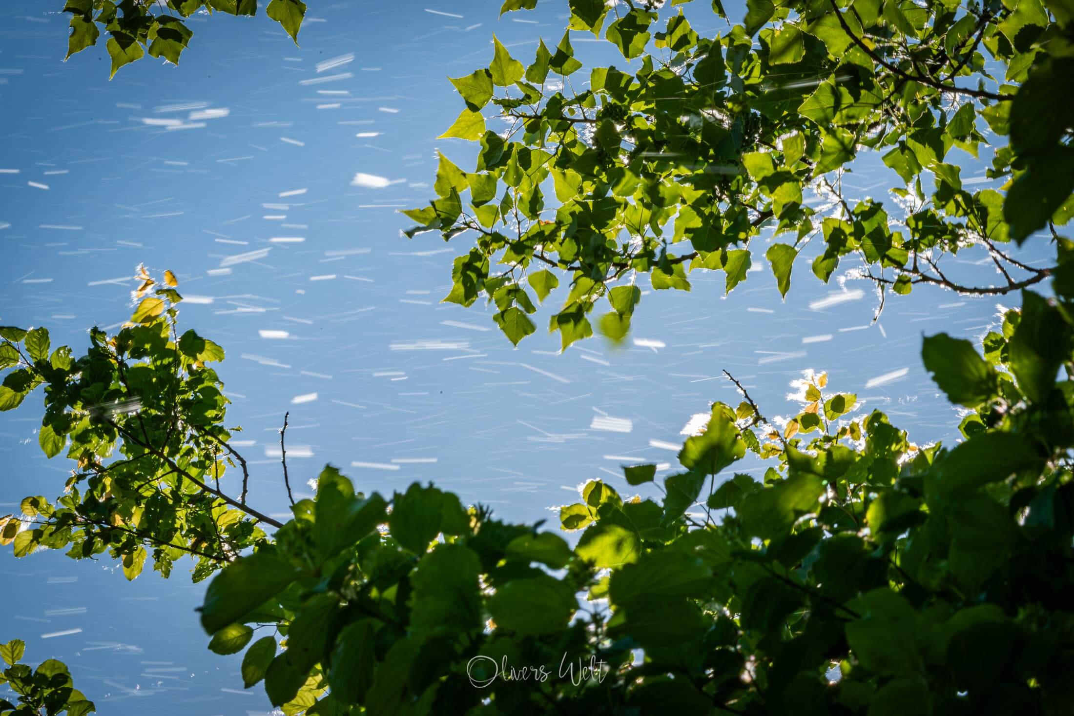 Bild ohne Beschreibung