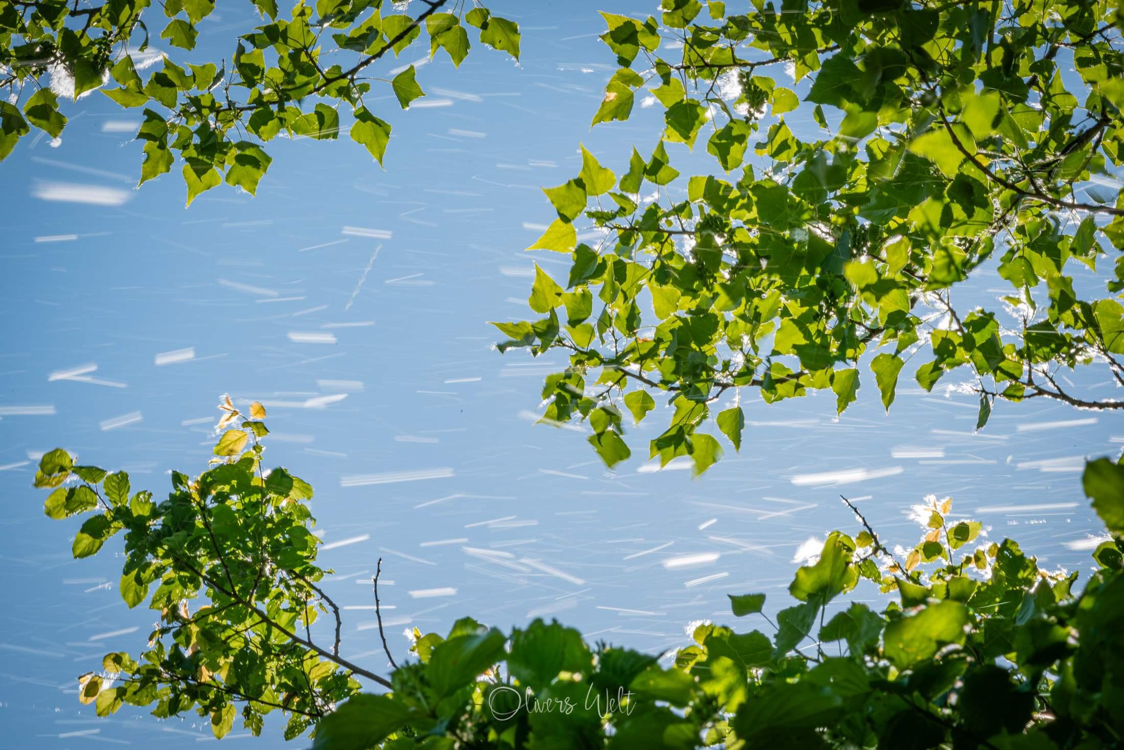 Bild ohne Beschreibung