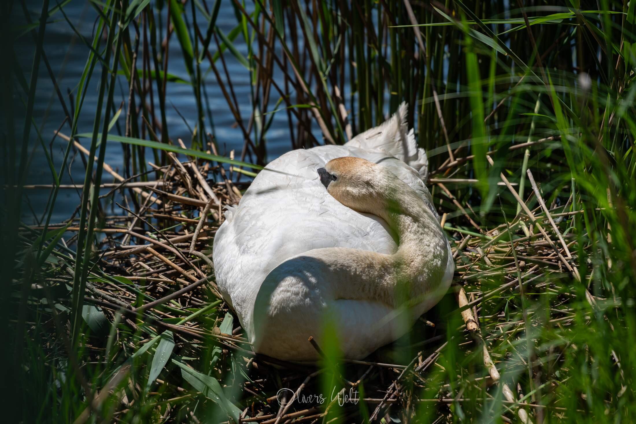 Bild ohne Beschreibung