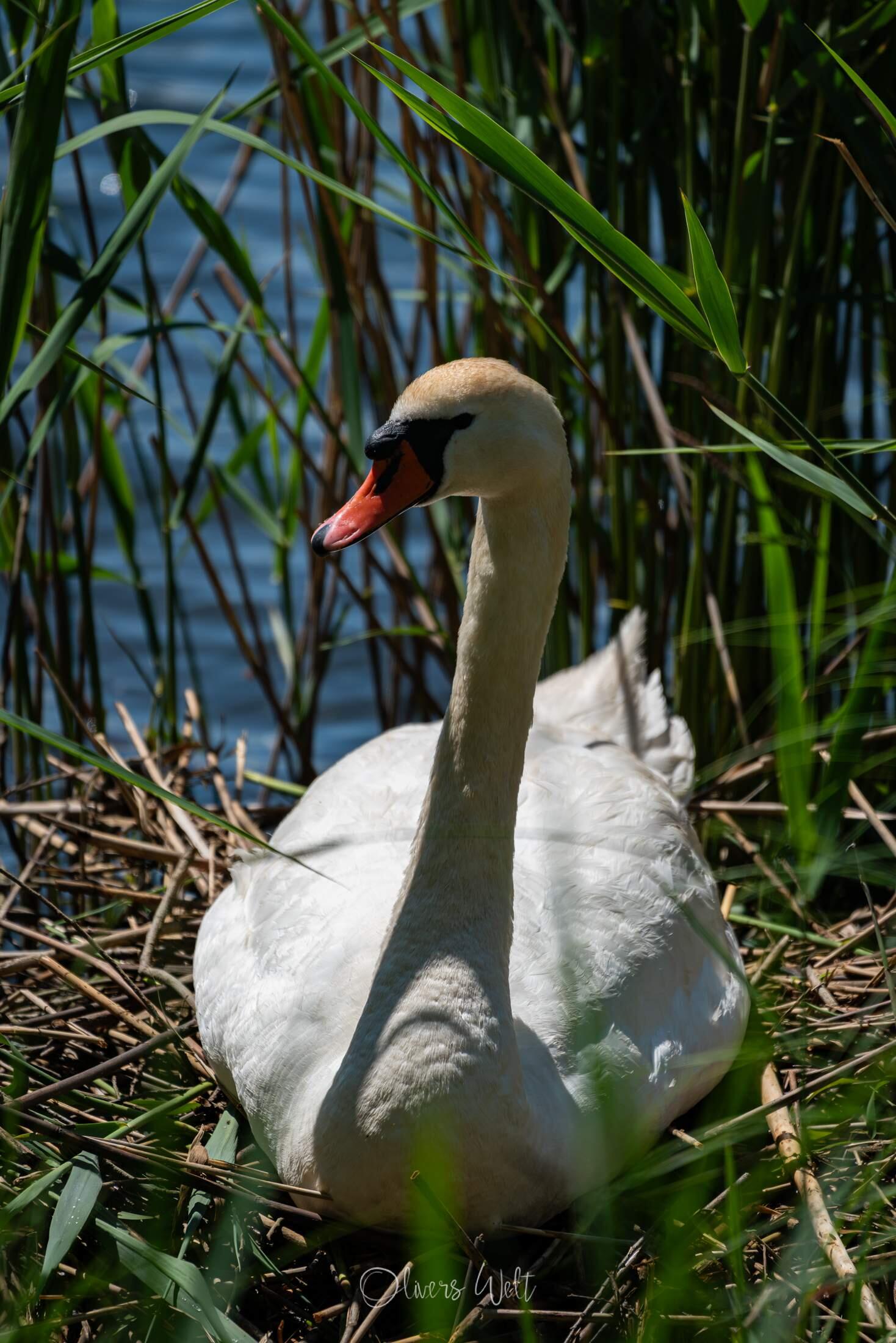 Bild ohne Beschreibung