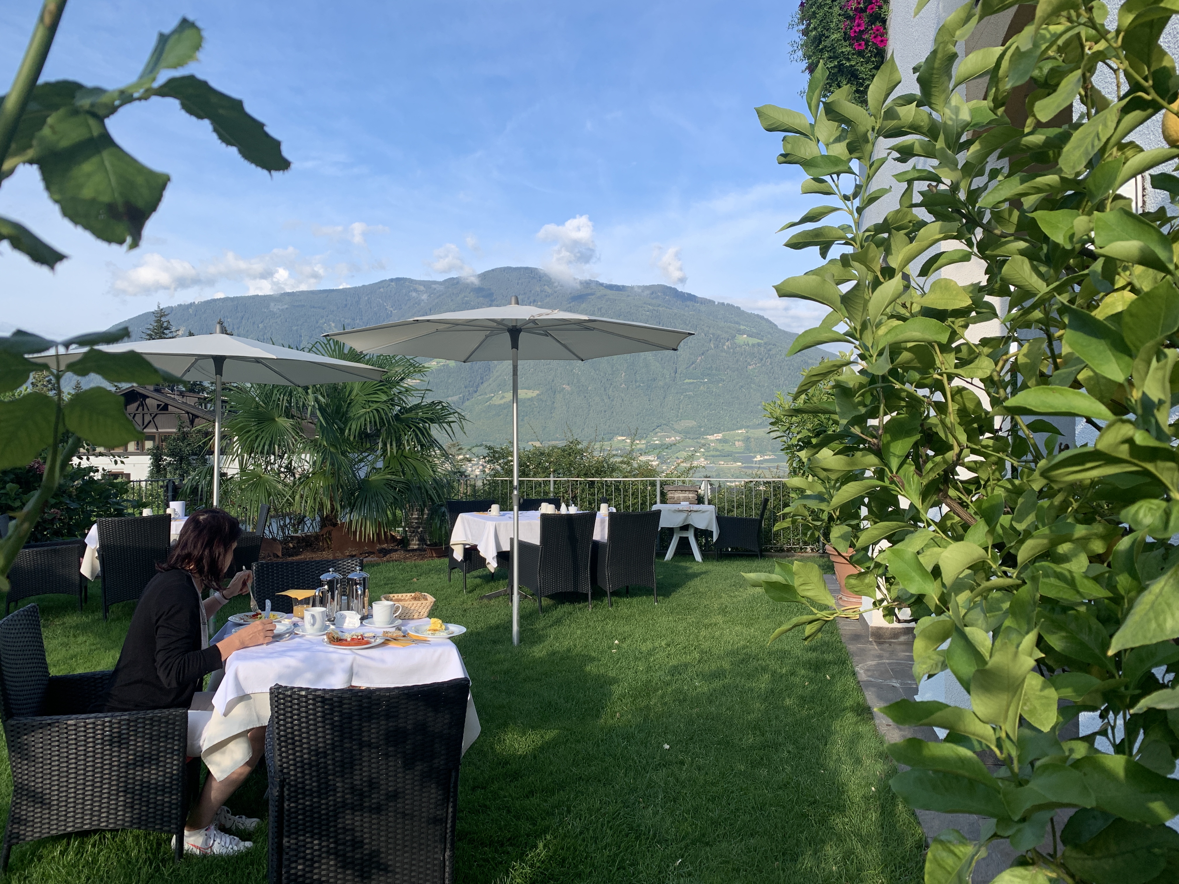 Bild ohne Beschreibung Bild ohne Beschreibung