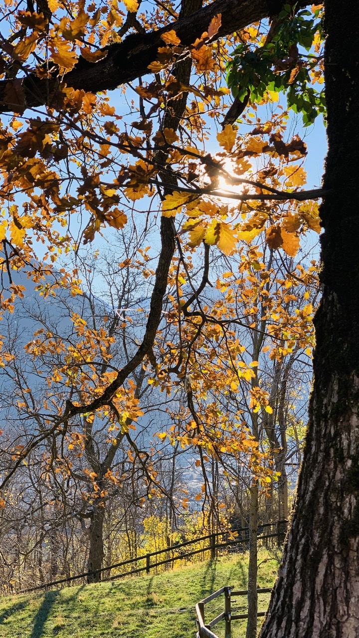 Bild ohne Beschreibung