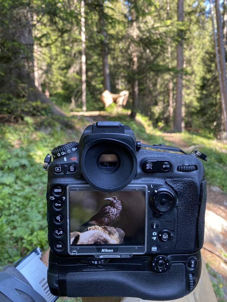 Bild ohne Beschreibung Bild ohne Beschreibung