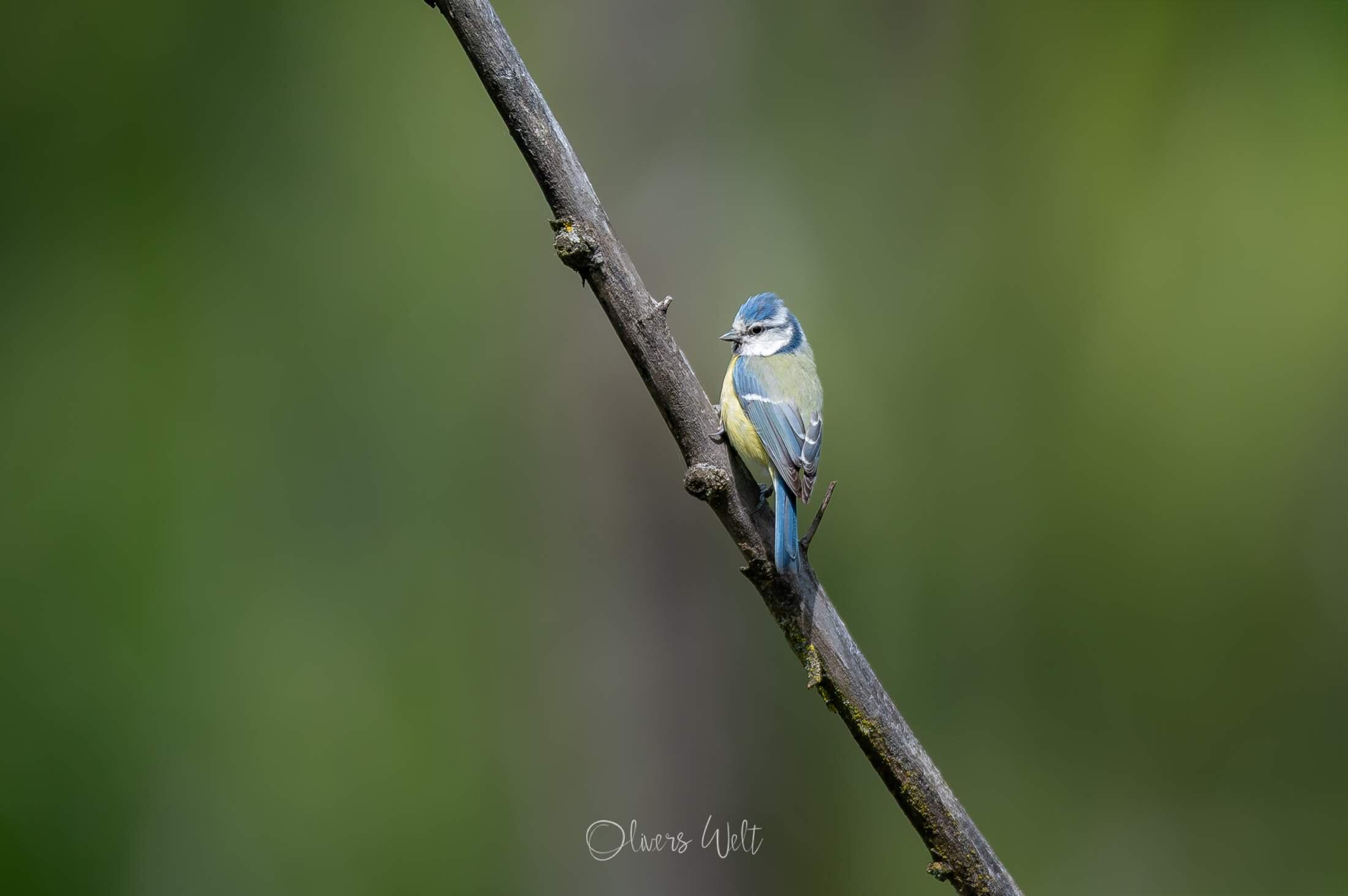 Bild ohne Beschreibung Bild ohne Beschreibung
