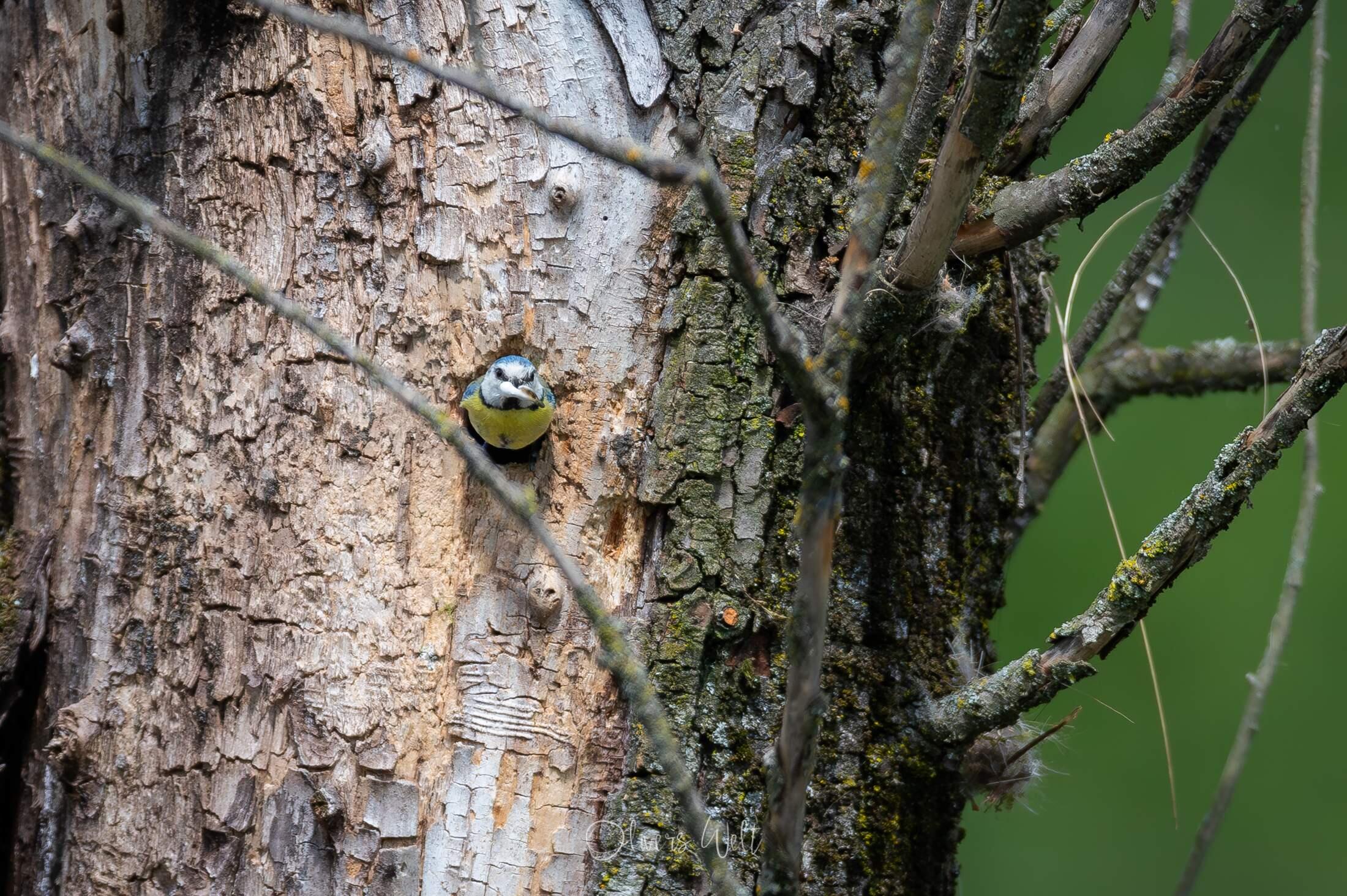Bild ohne Beschreibung Bild ohne Beschreibung