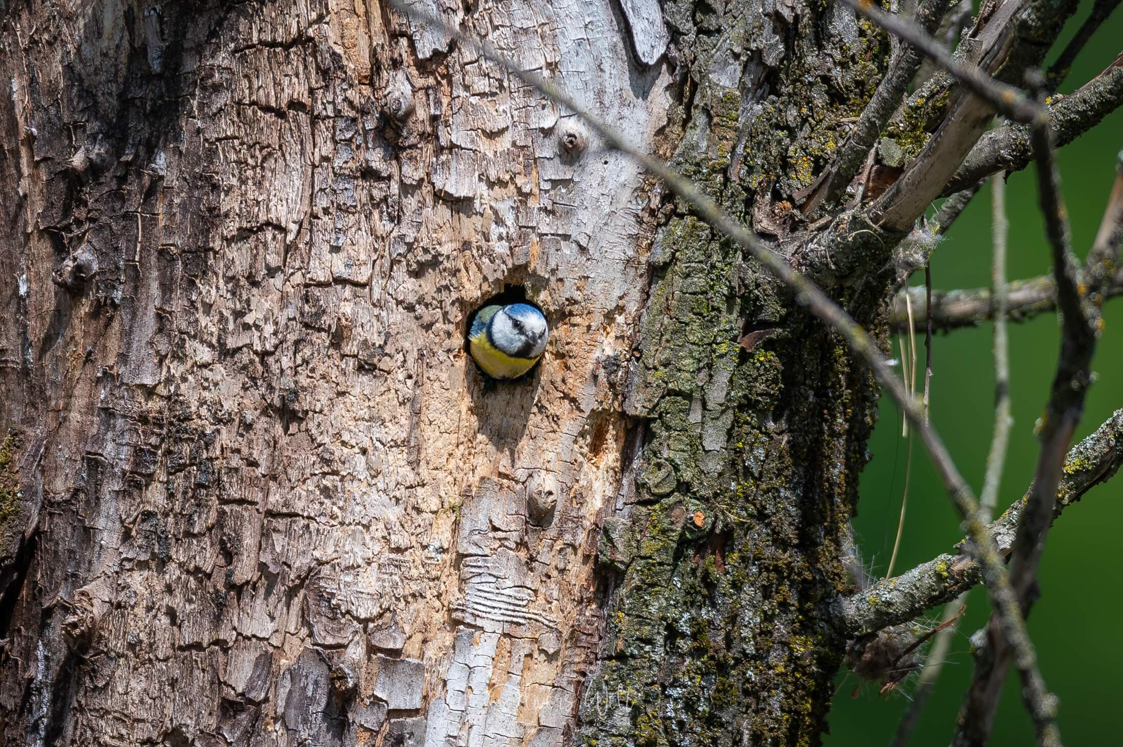 Bild ohne Beschreibung Bild ohne Beschreibung