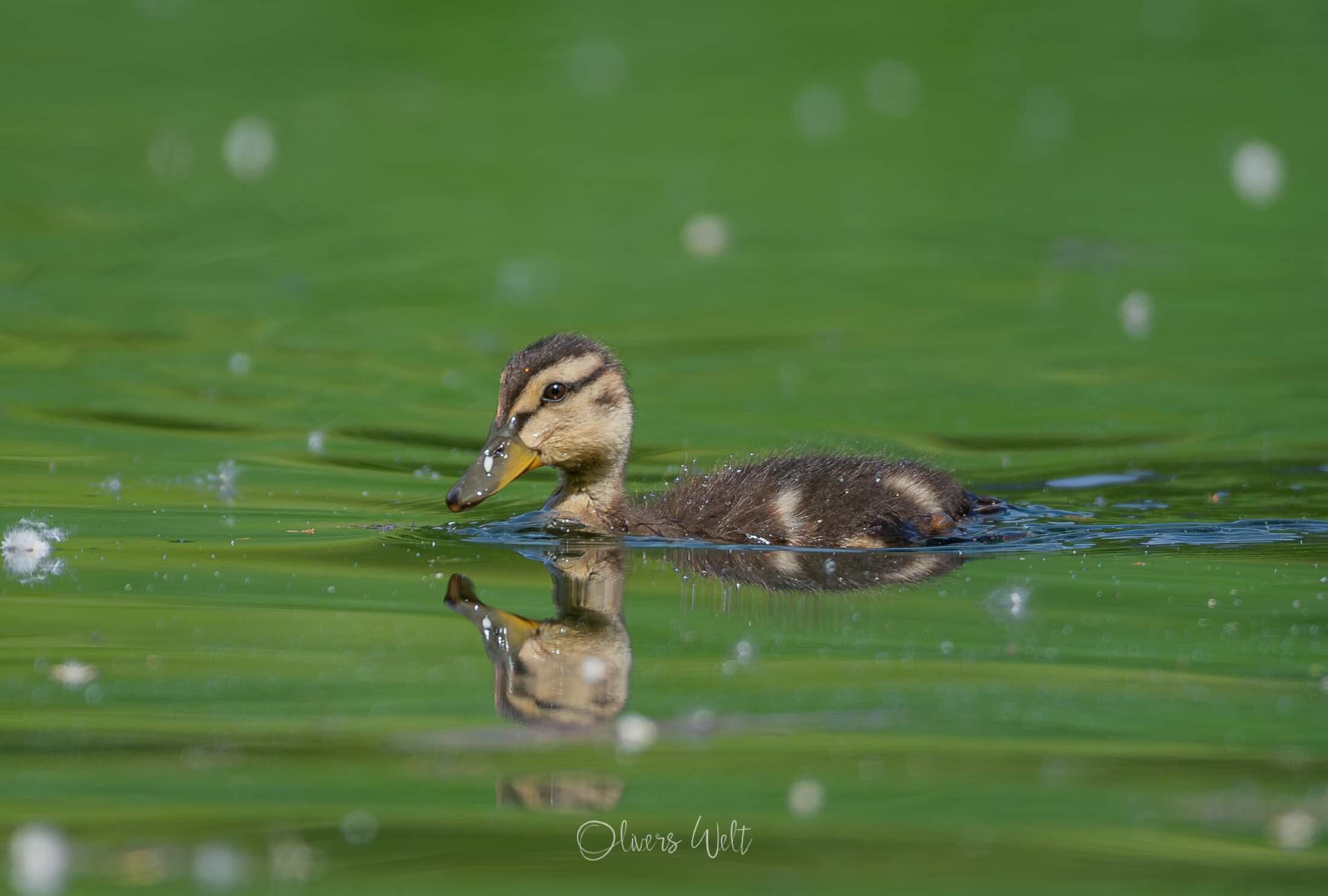 Bild ohne Beschreibung Bild ohne Beschreibung