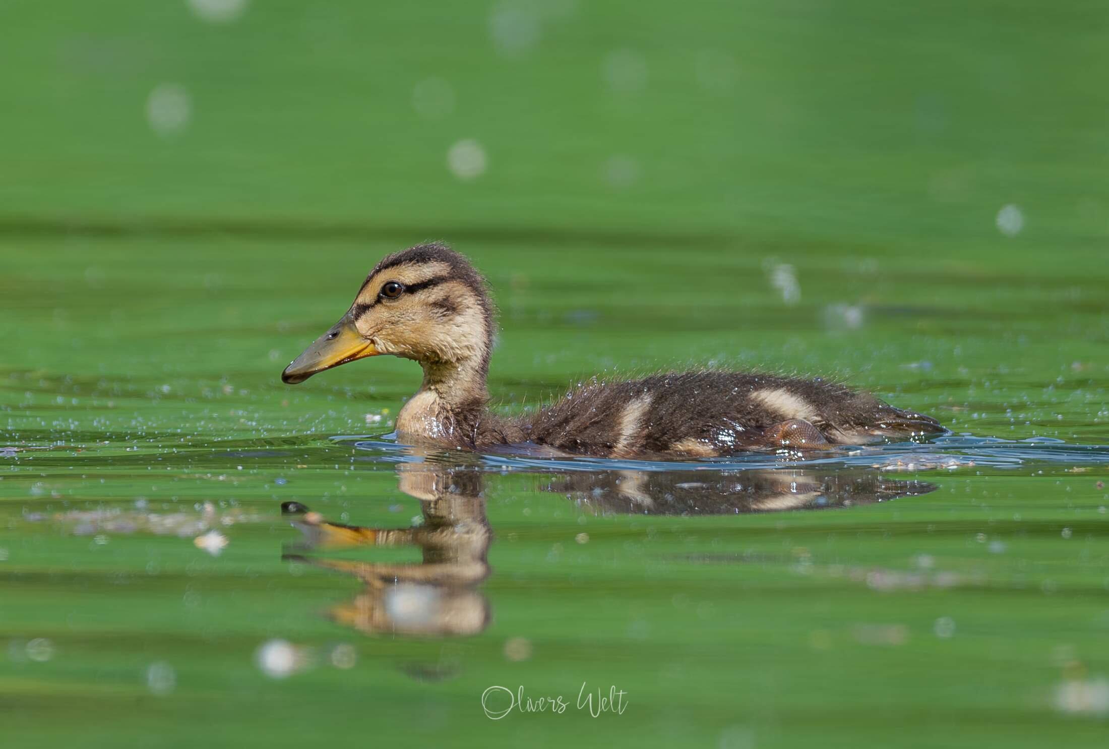 Bild ohne Beschreibung Bild ohne Beschreibung