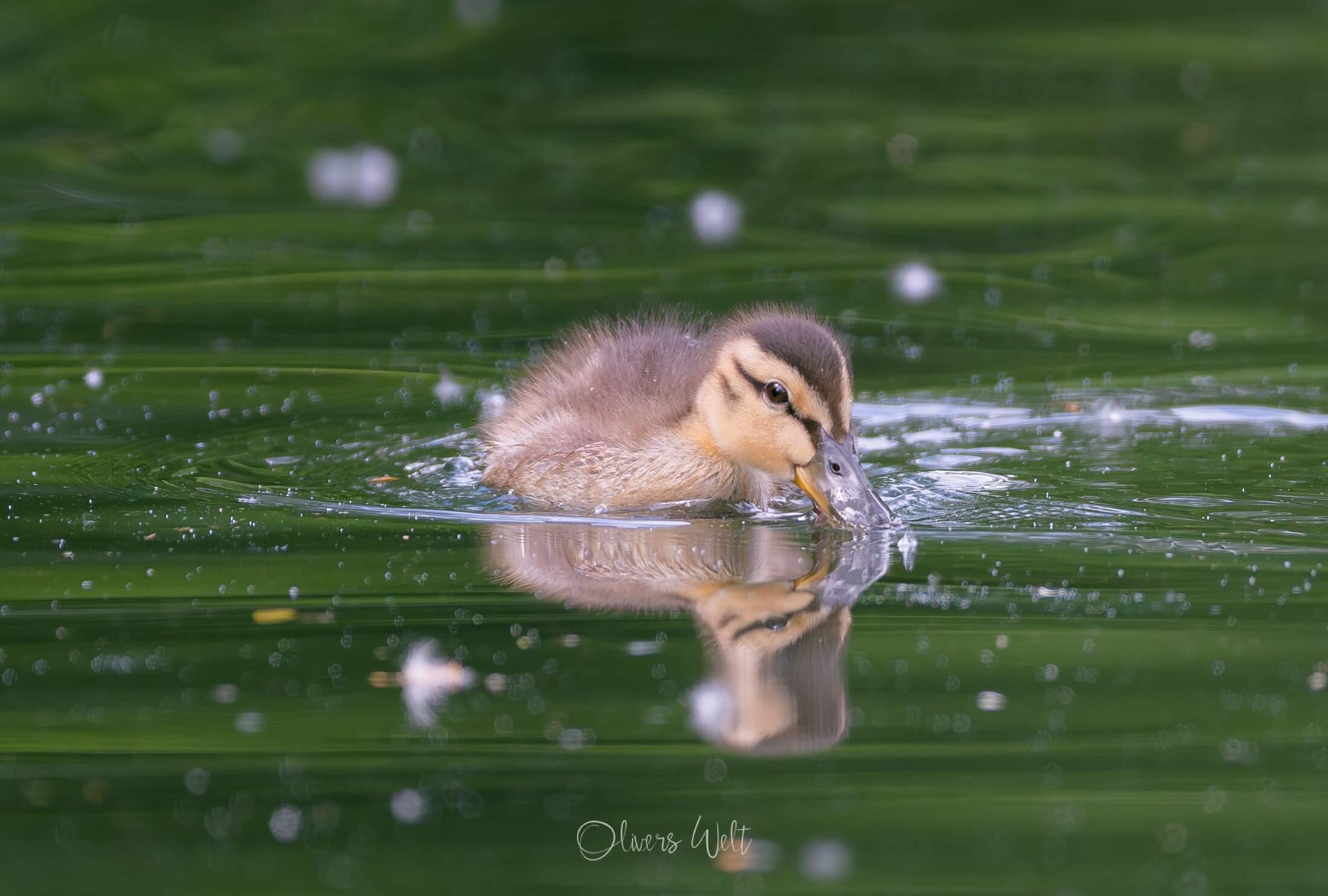 Bild ohne Beschreibung Bild ohne Beschreibung