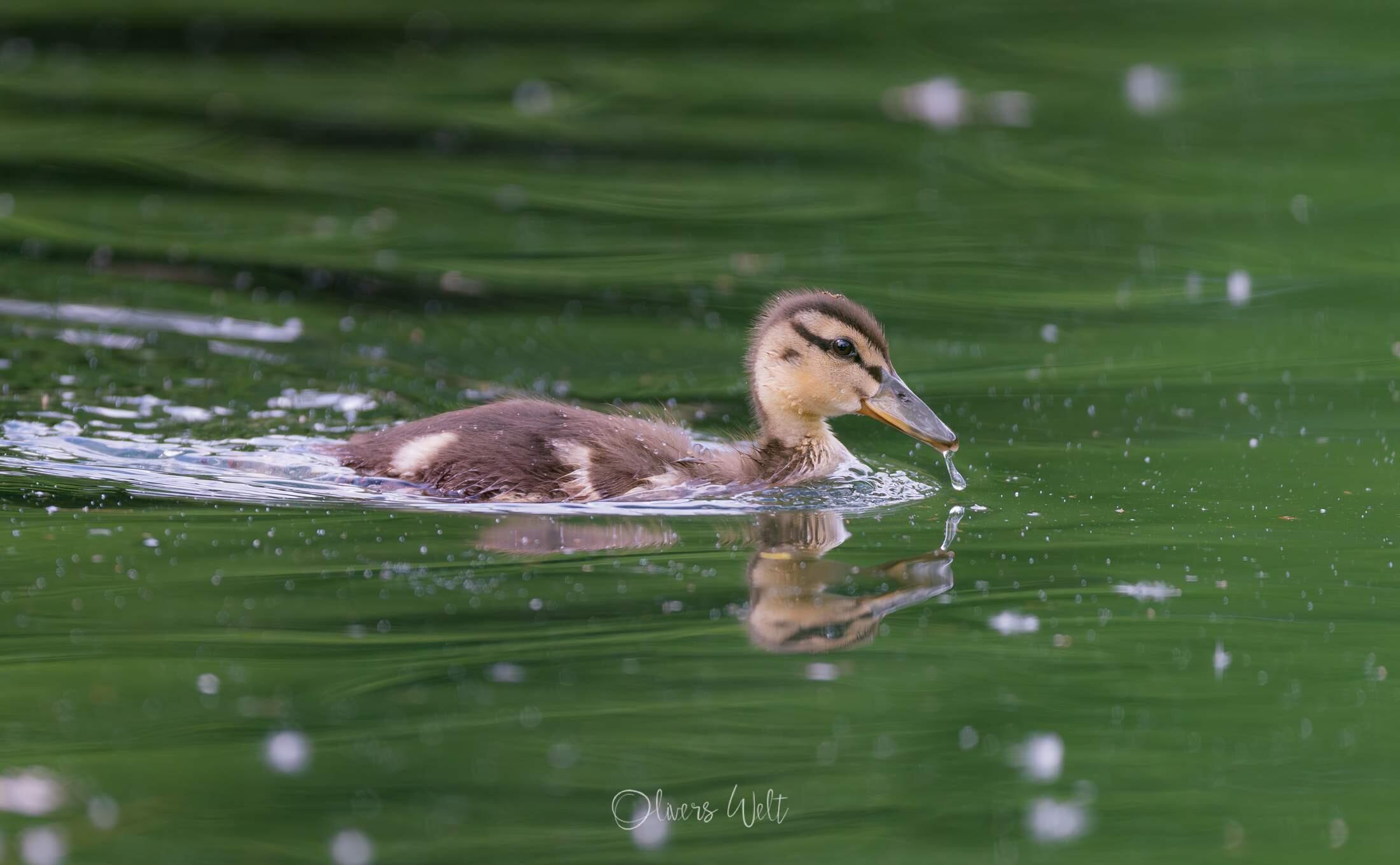 Bild ohne Beschreibung Bild ohne Beschreibung